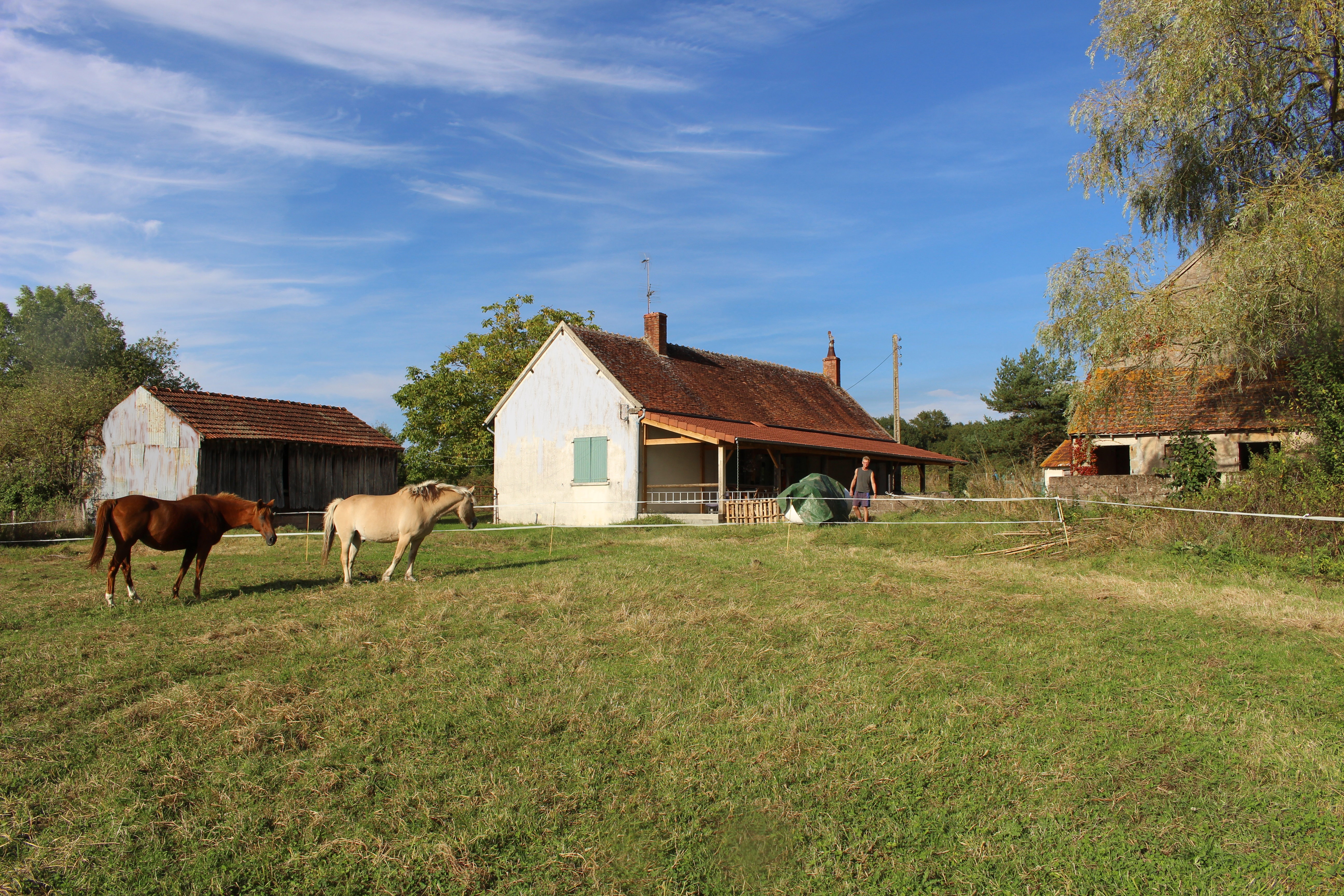 - image: 26