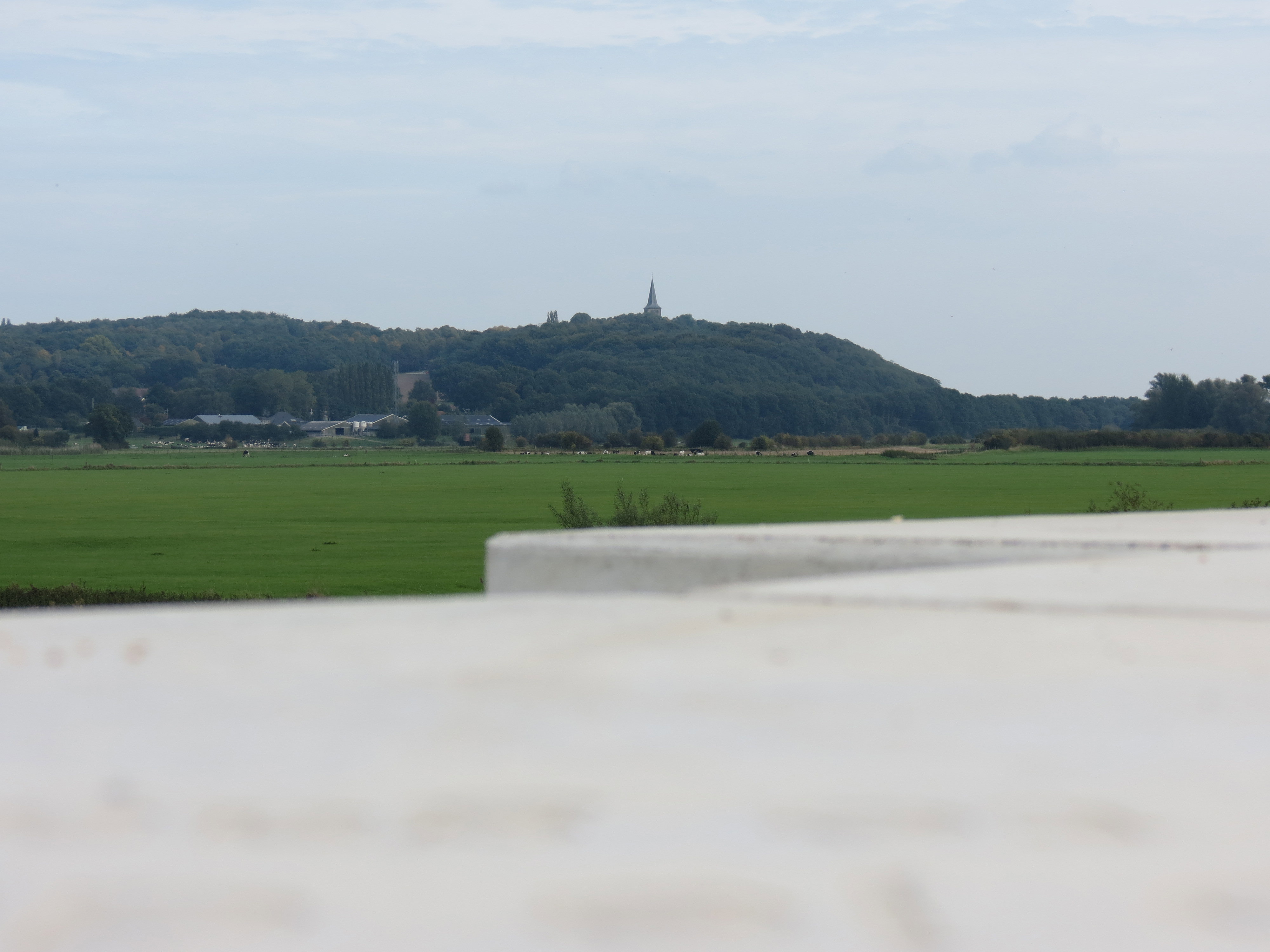 - image: 12