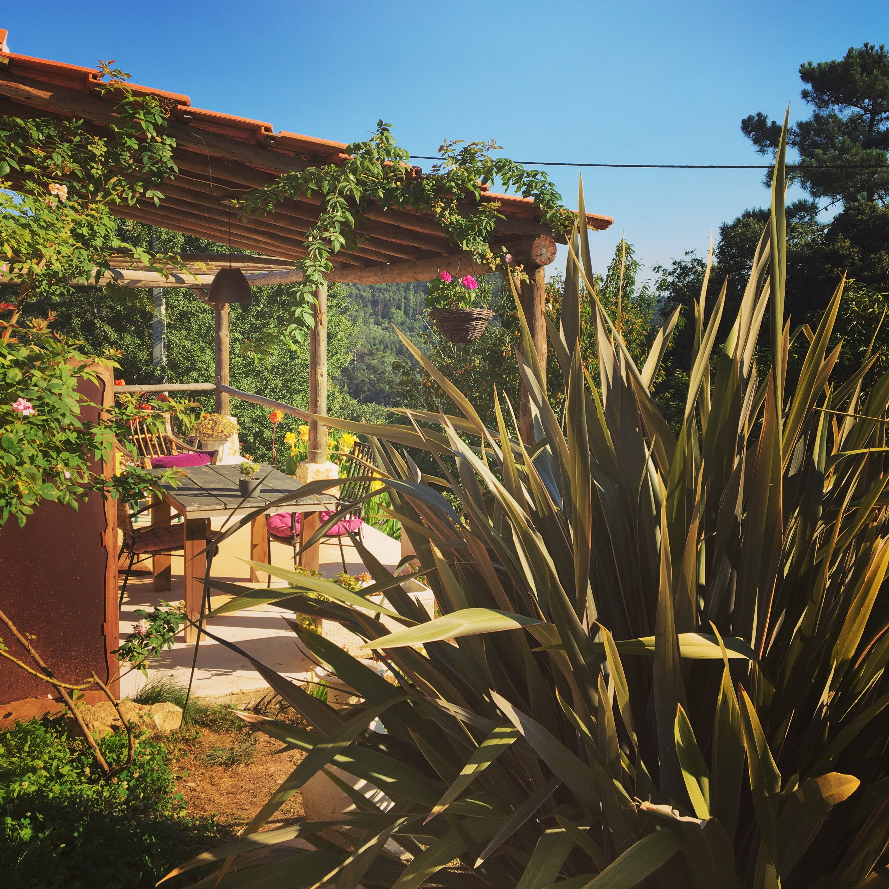 Casa nella natura a Évora de Alcobaca, Alcobaca
