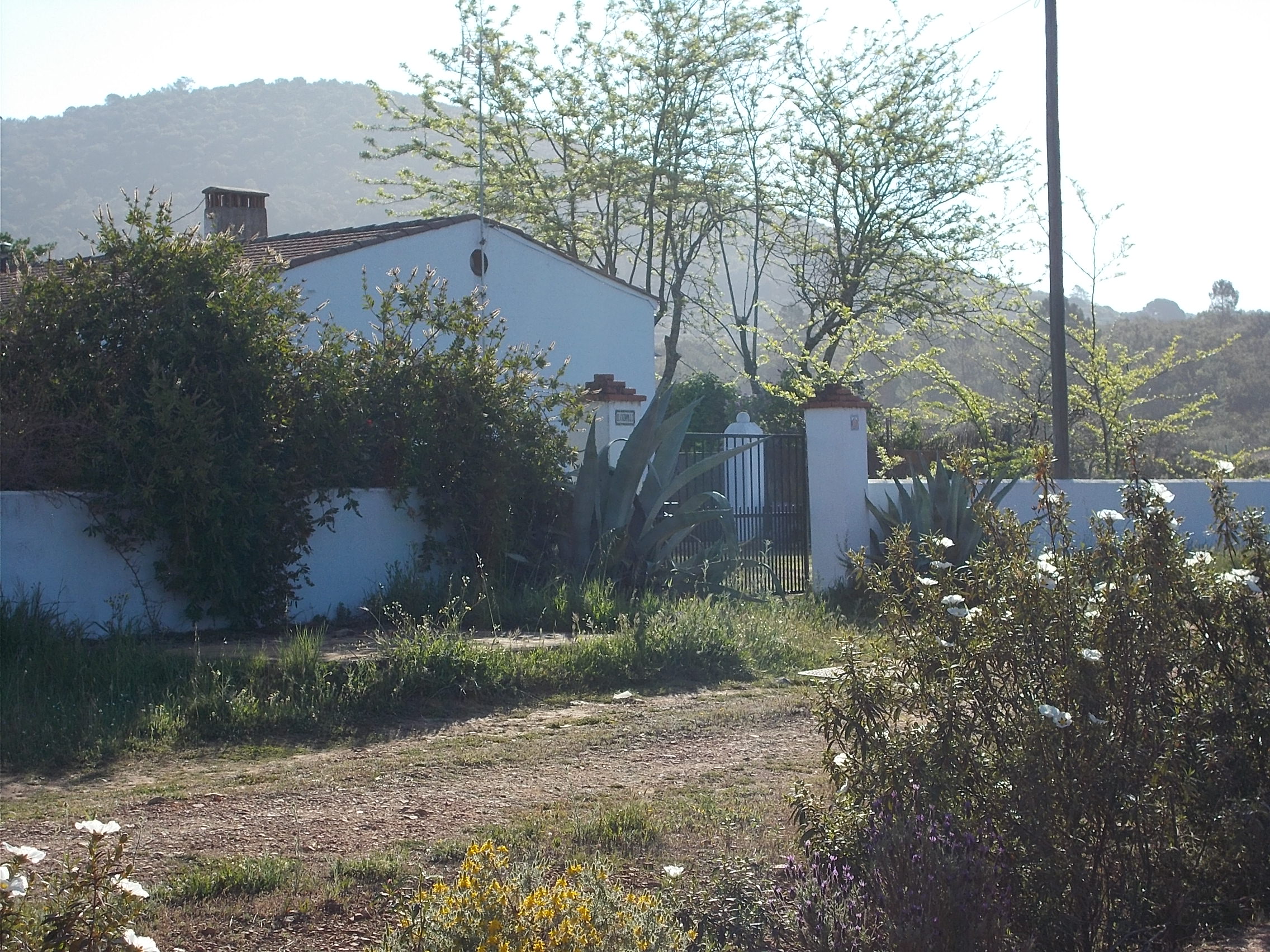 Natuurhuisje in Alcuescar