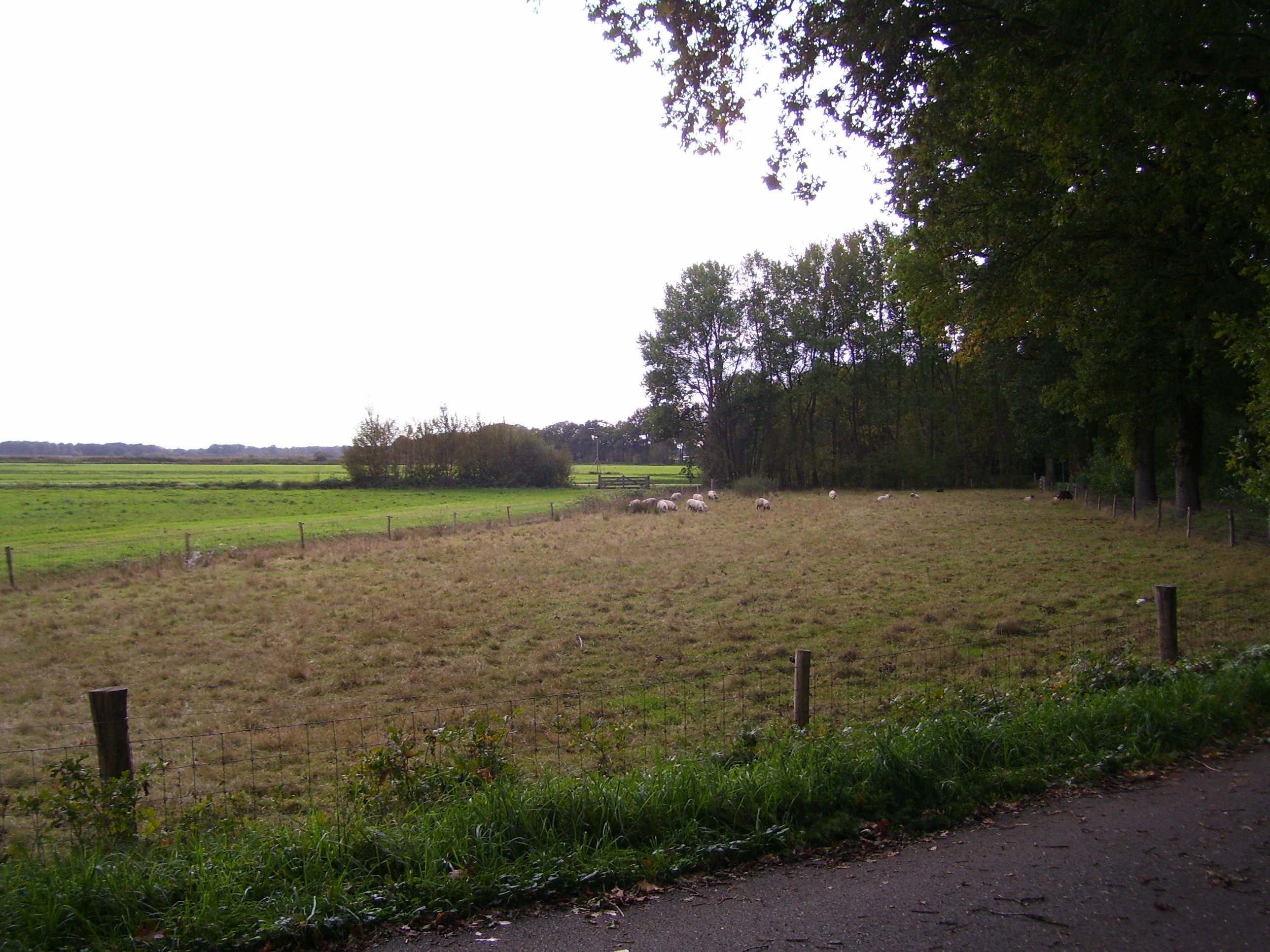 - image: 14