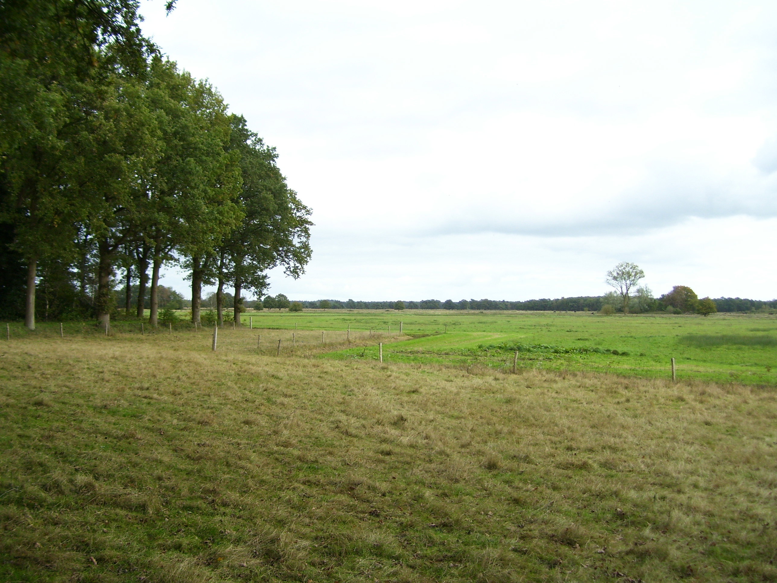 - image: 15