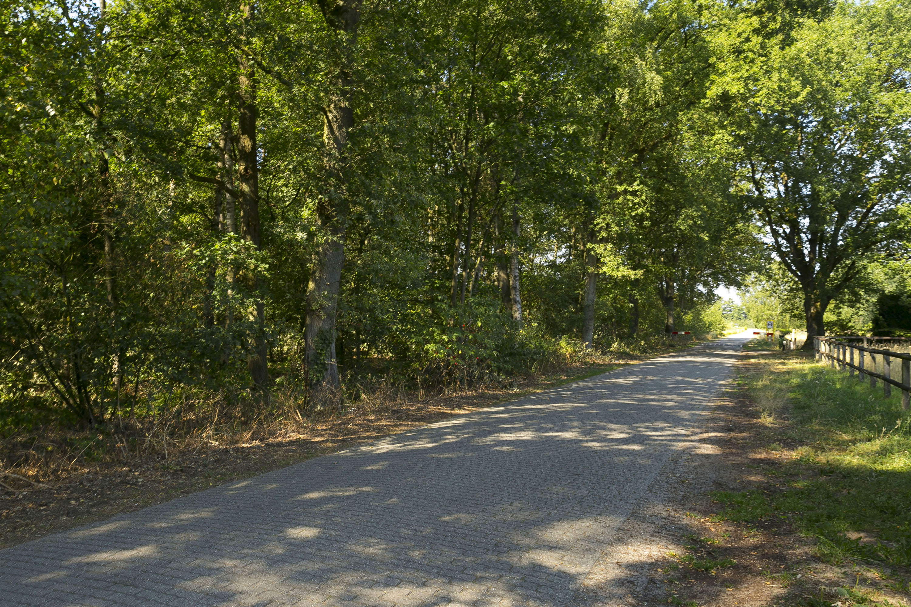 - image: 12