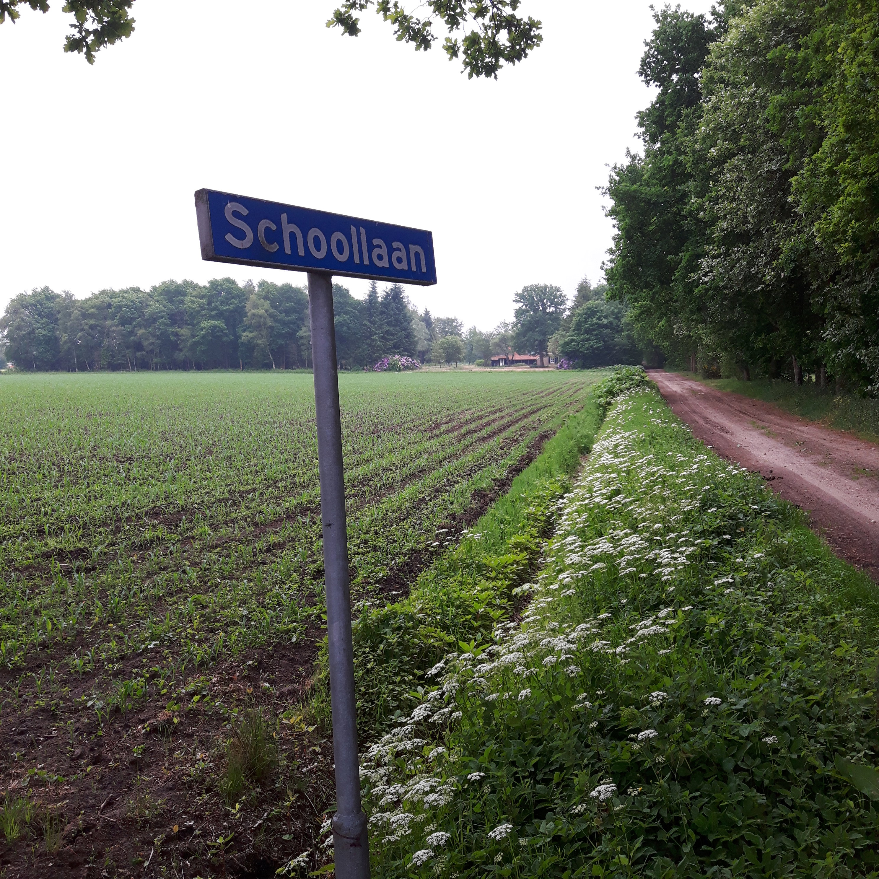 Naturhäuschen in Boijl