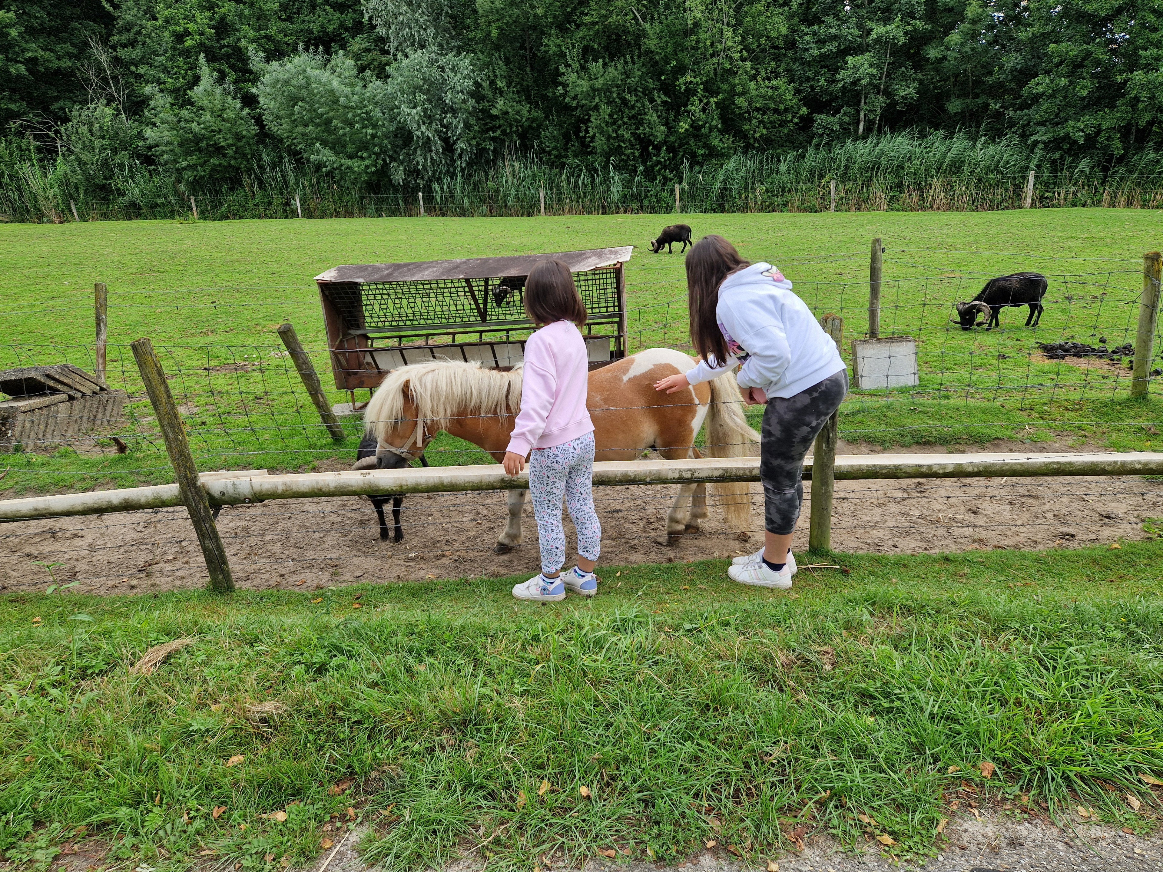 Natuurhuisje in Woudenberg