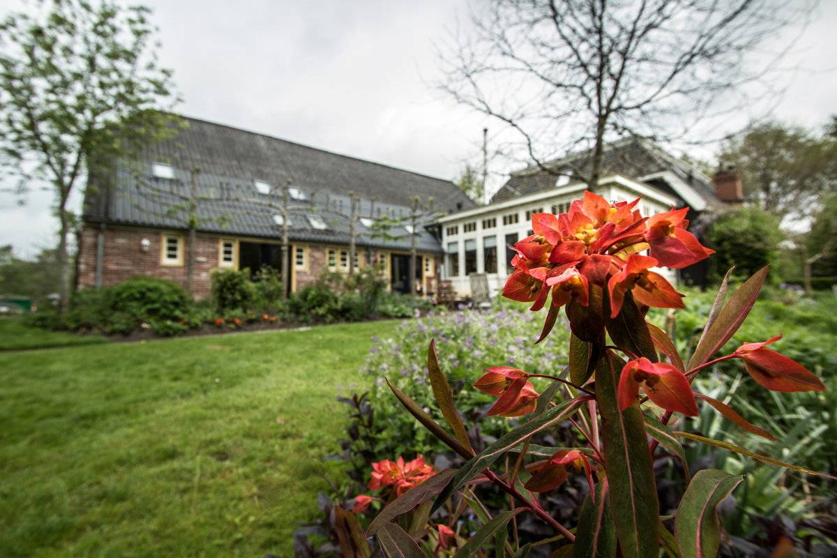 Maison nature à Eexterveen