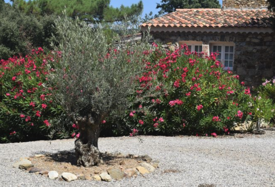 Maison nature à le Plan de la Tour