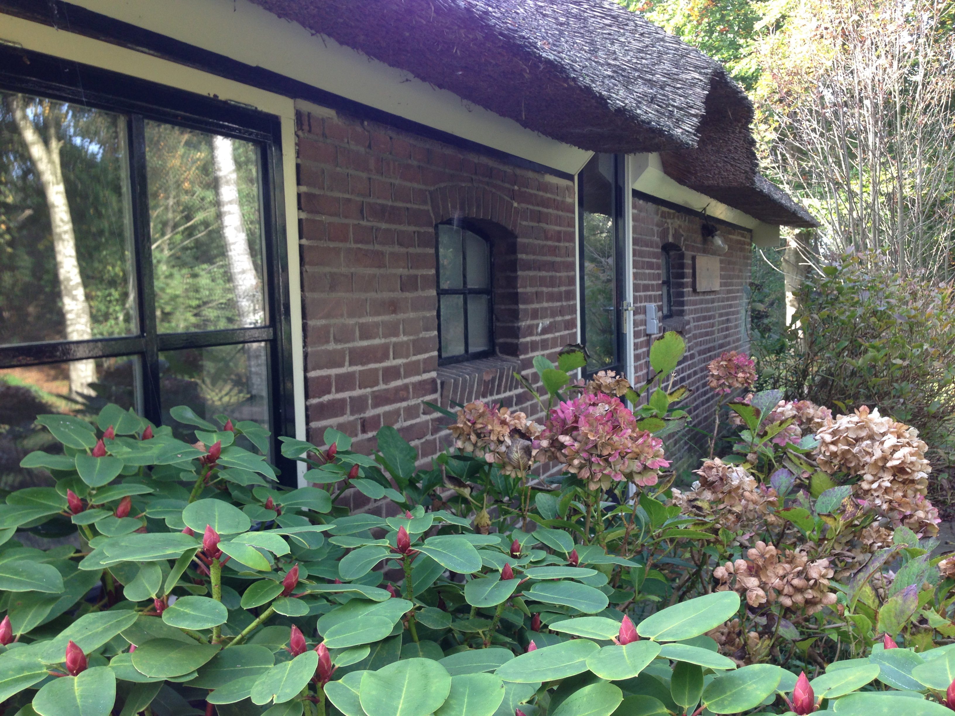 Nature house in Balkbrug