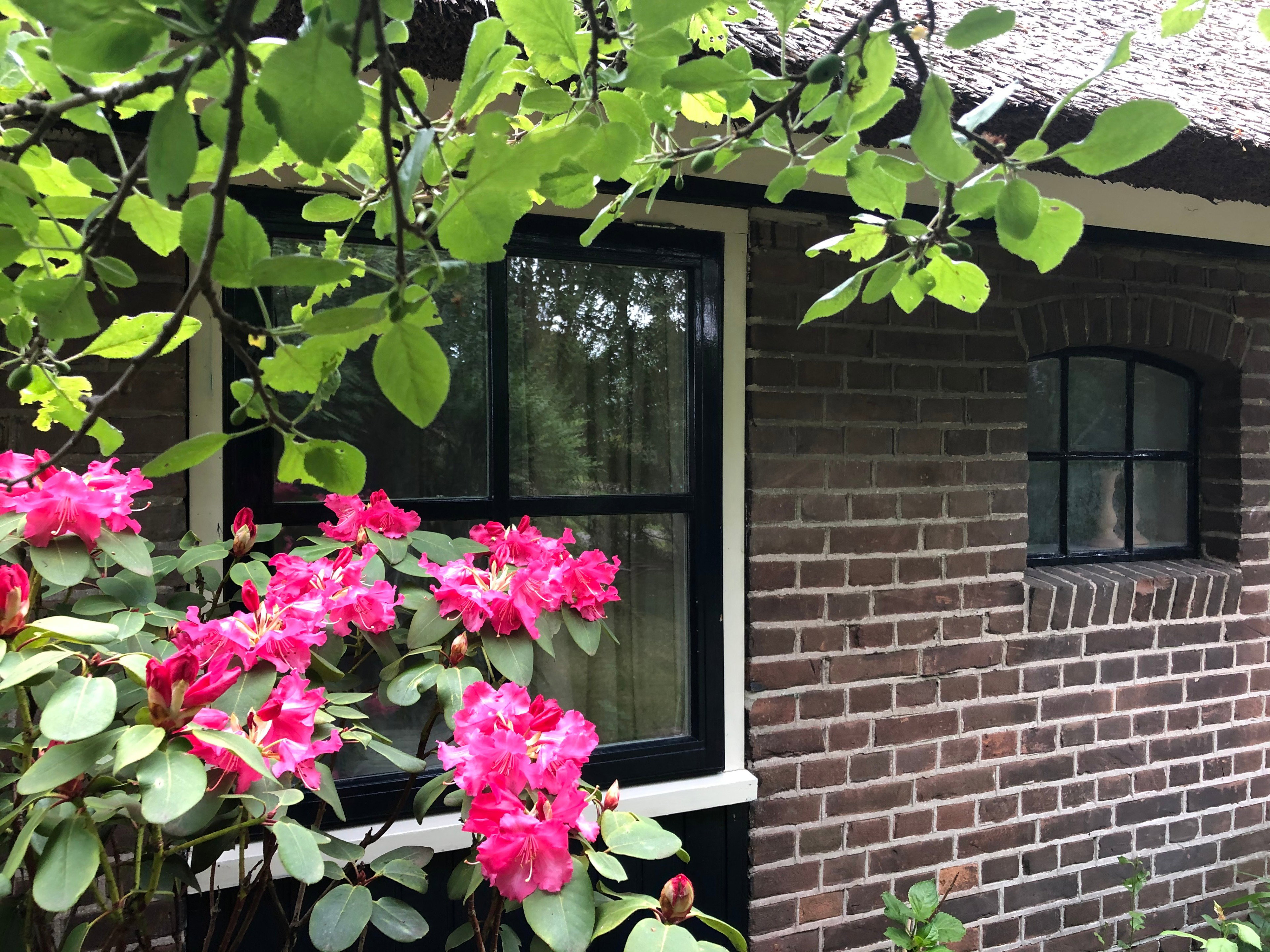 Natuurhuisje in Balkbrug