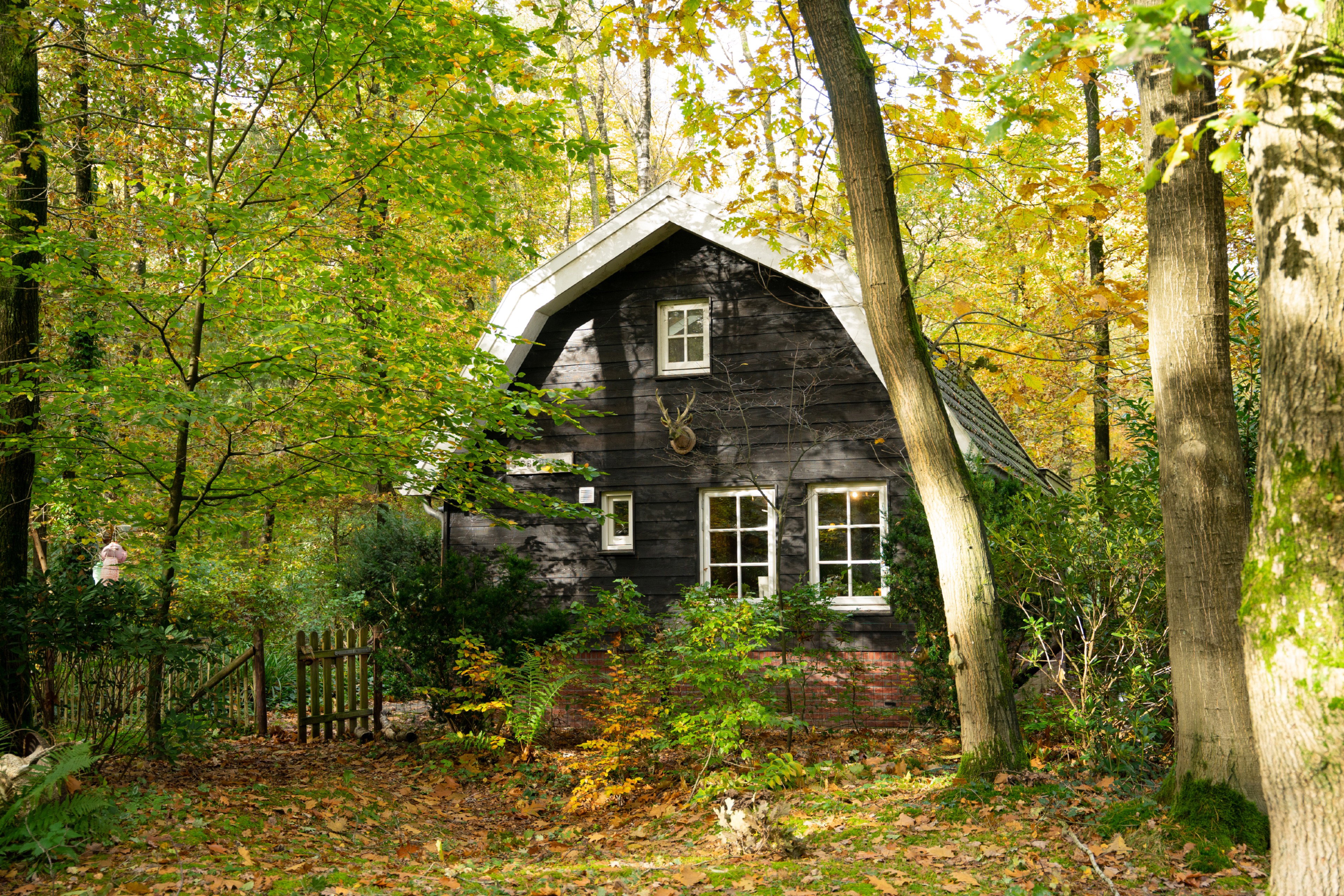 Maison nature à Putten