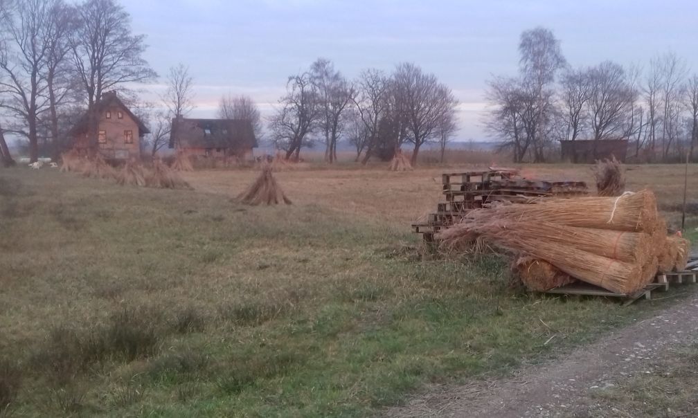 Maison nature à IJsselham