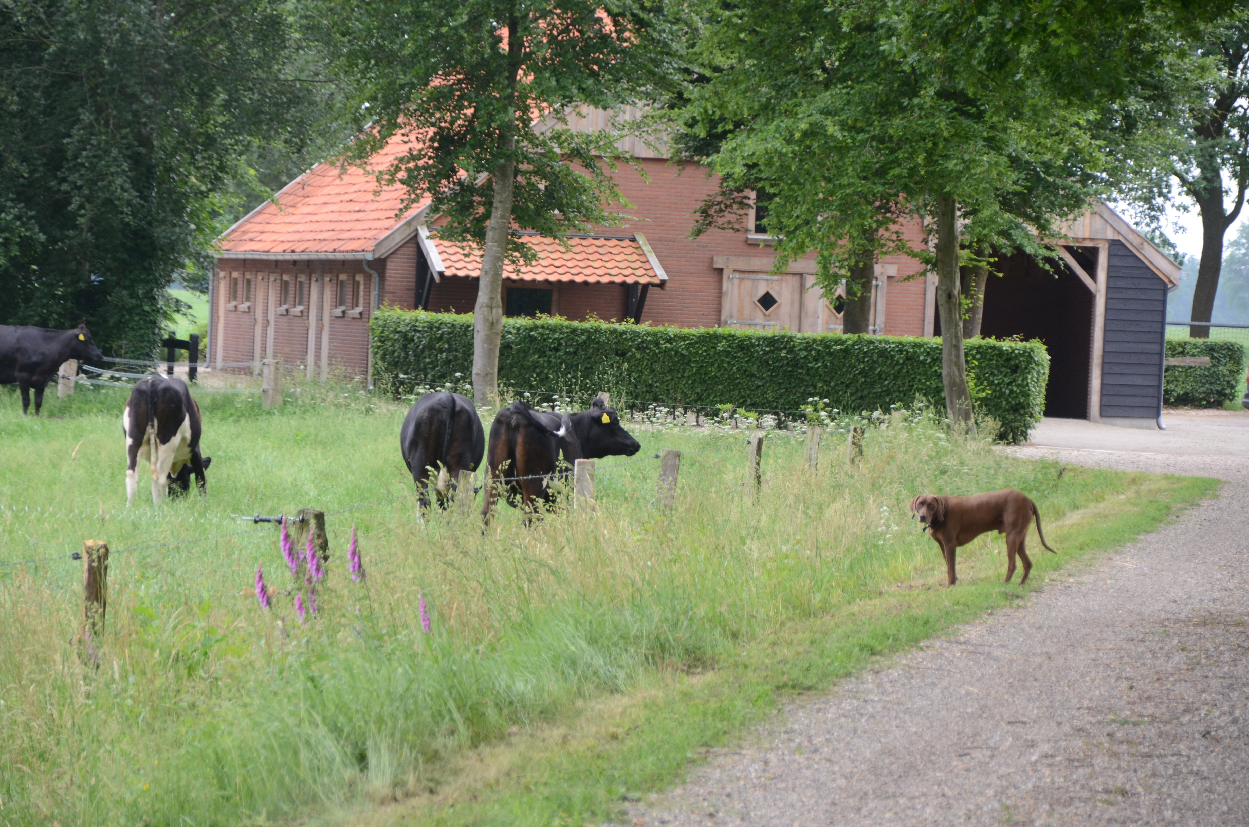 Naturhäuschen in breklenkamp