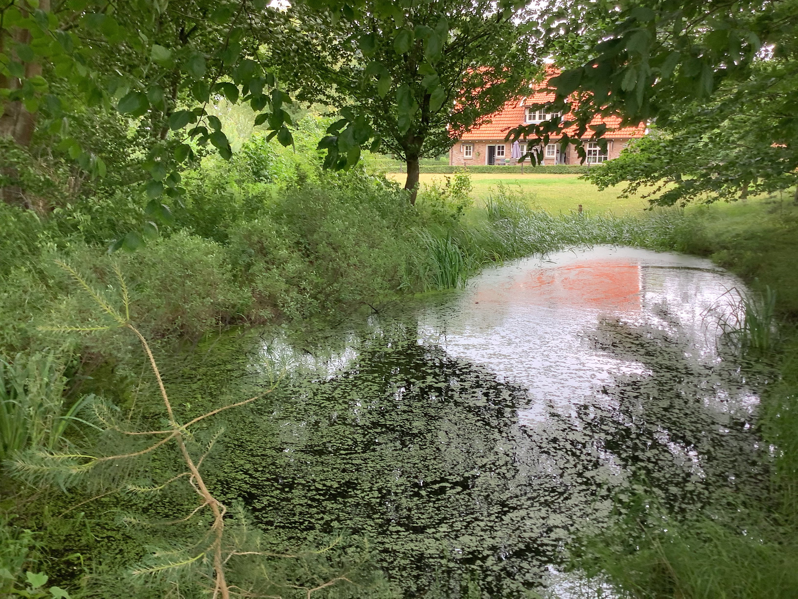 Casa nella natura a breklenkamp