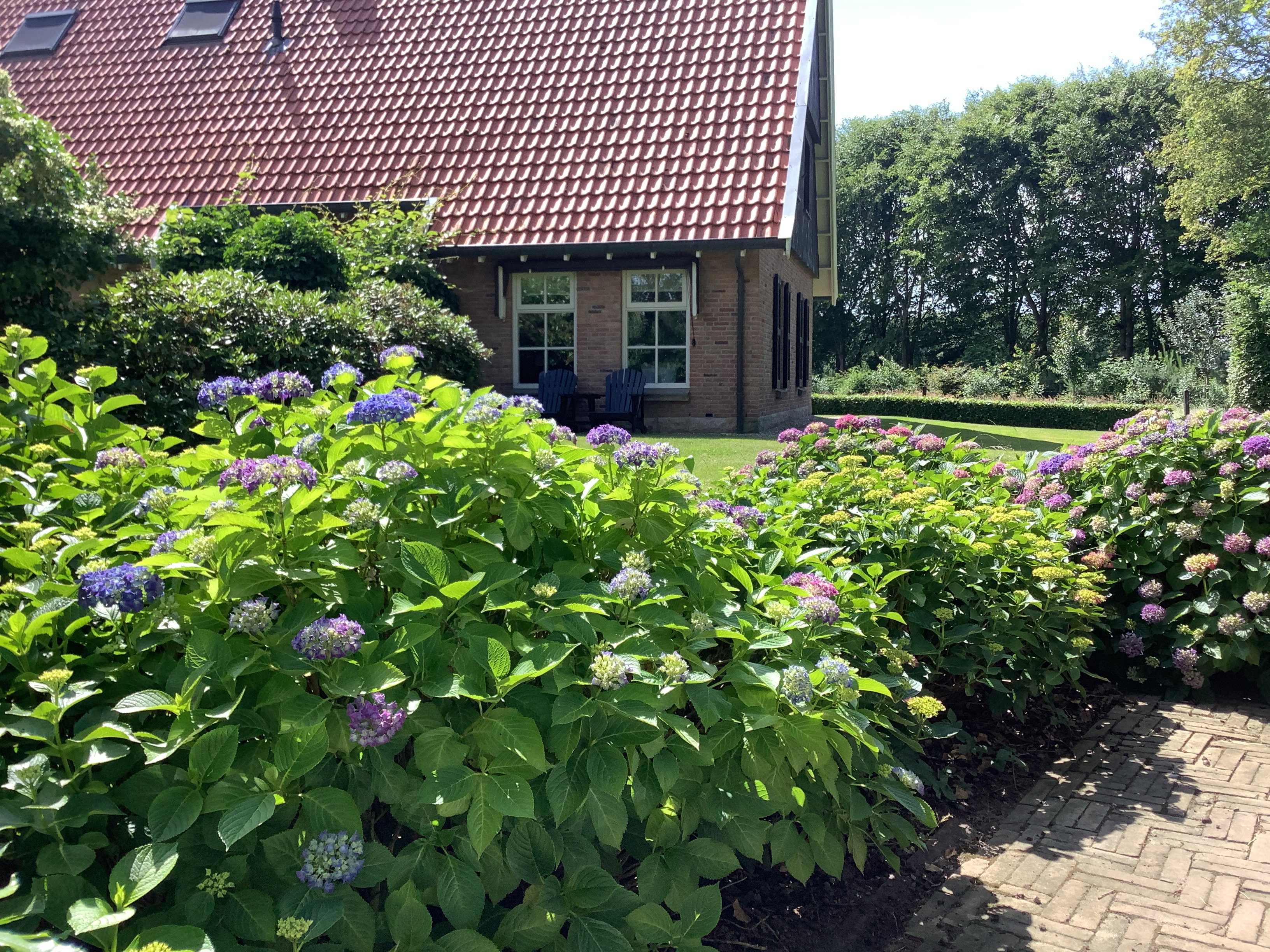 Casa nella natura a breklenkamp
