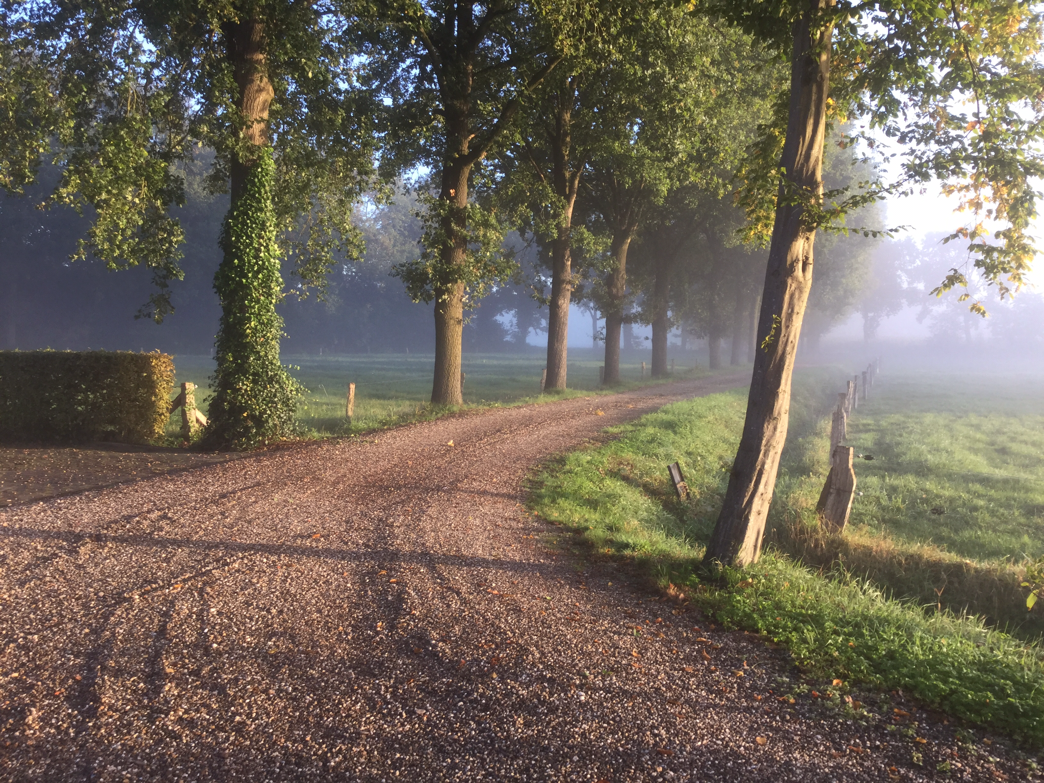 Naturhäuschen in breklenkamp