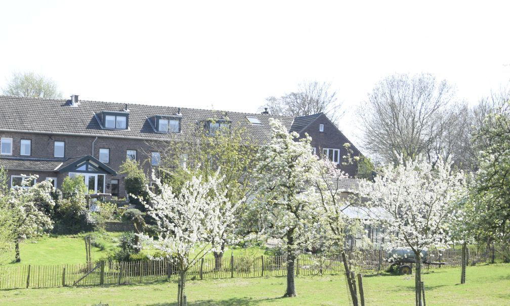 Nature house in Mechelen