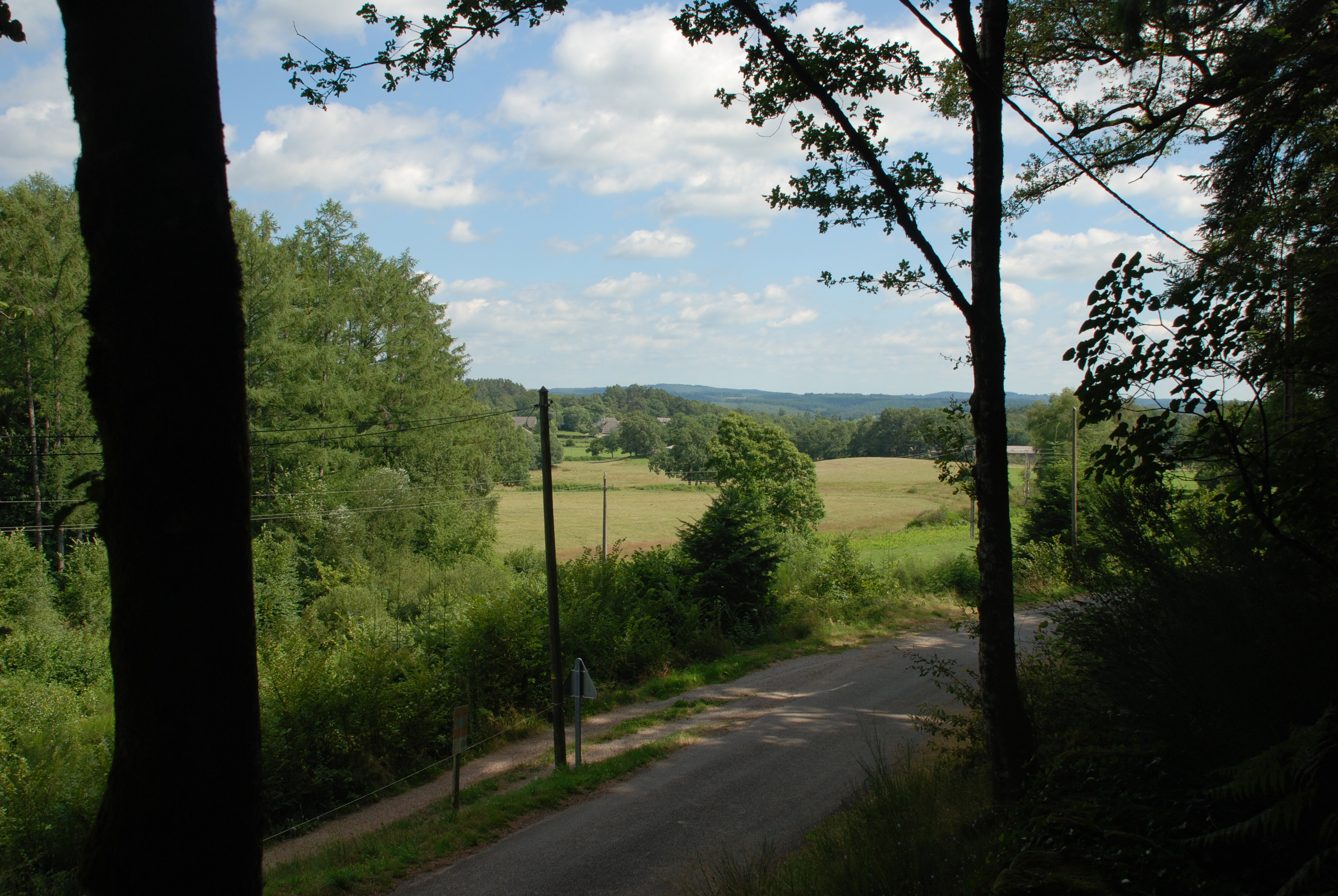 - image: 25