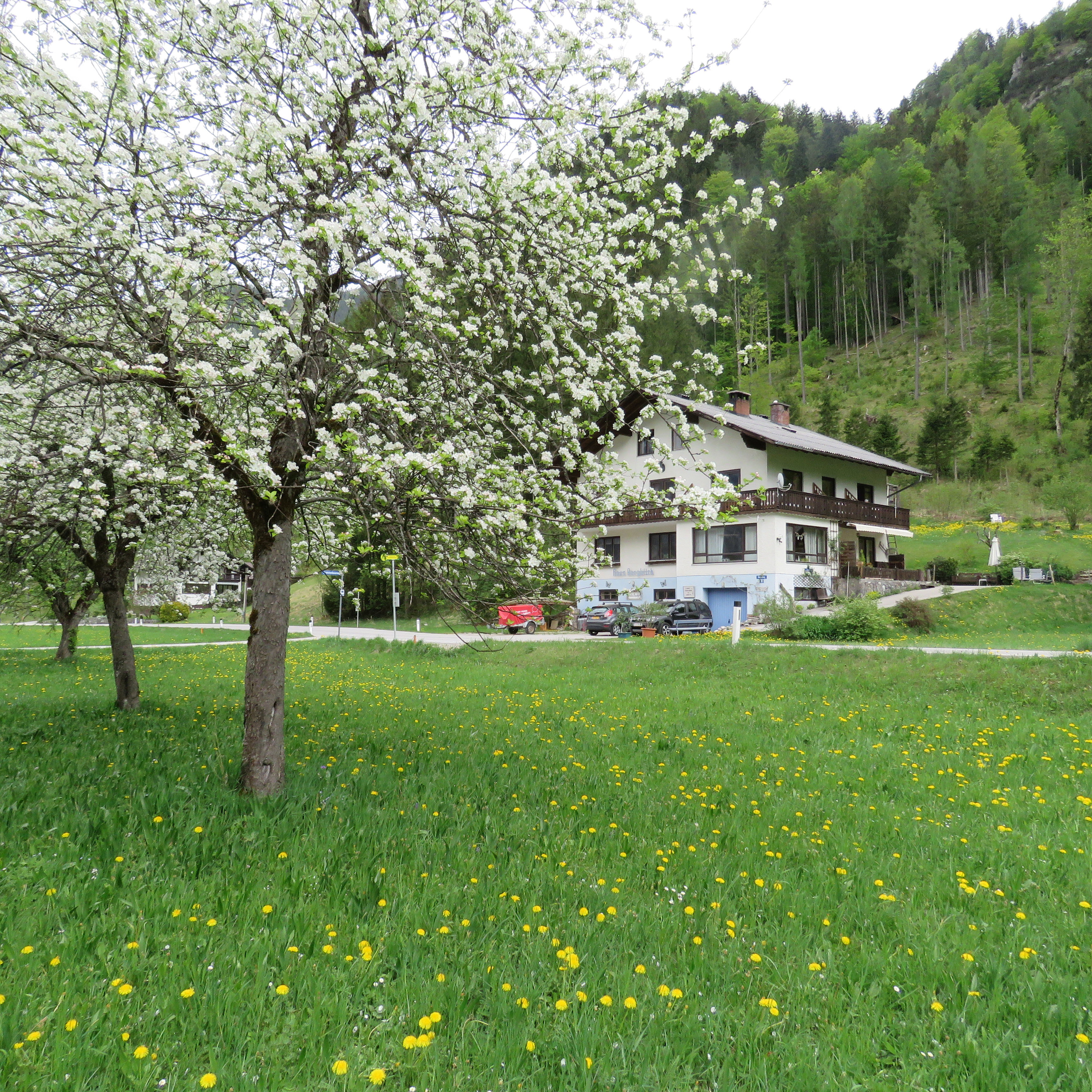 - image: 20