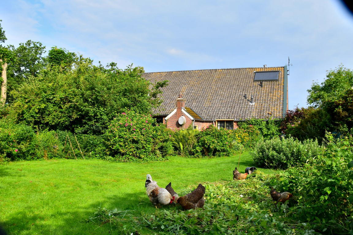 Nature house in Odoornerveen