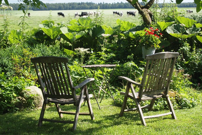 Maison nature à Odoornerveen