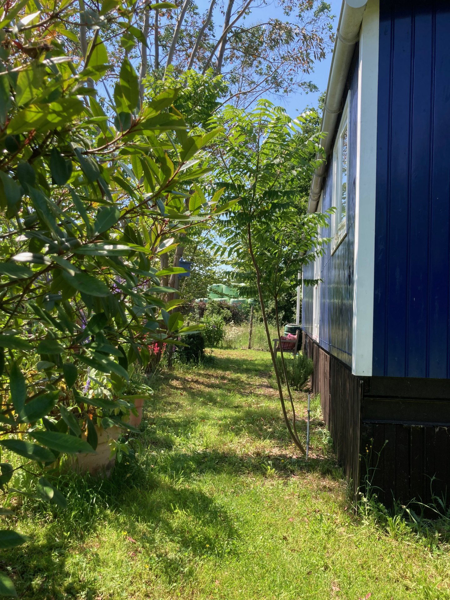 Natuurhuisje in Basse