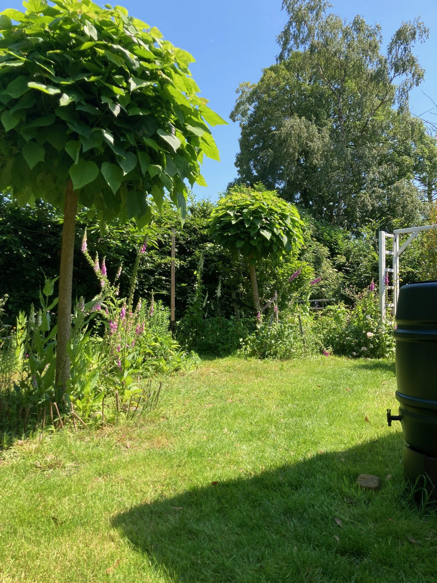 Natuurhuisje in Basse