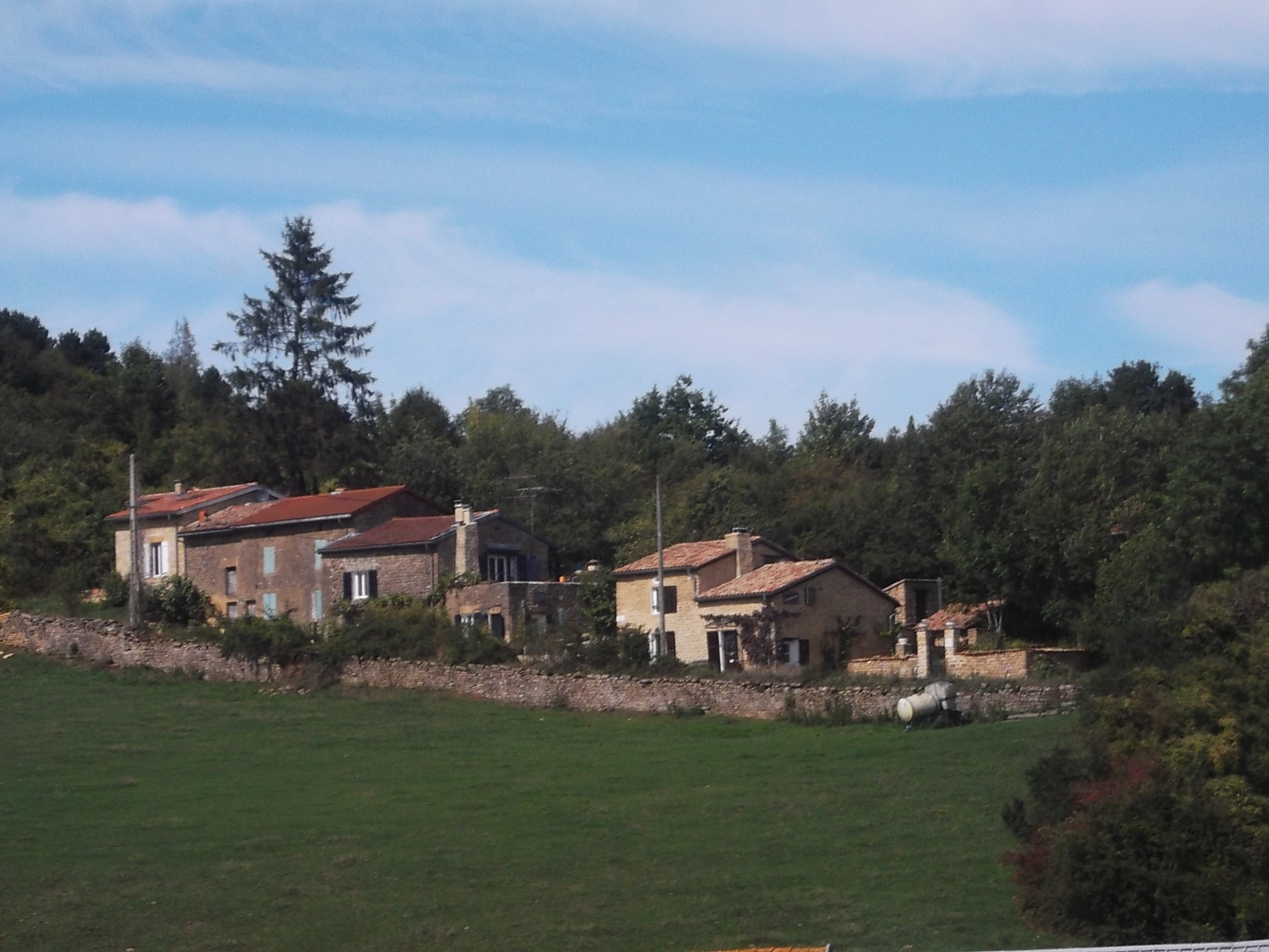 - image: 20