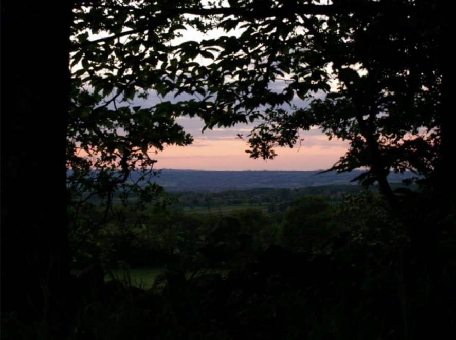 - image: 22