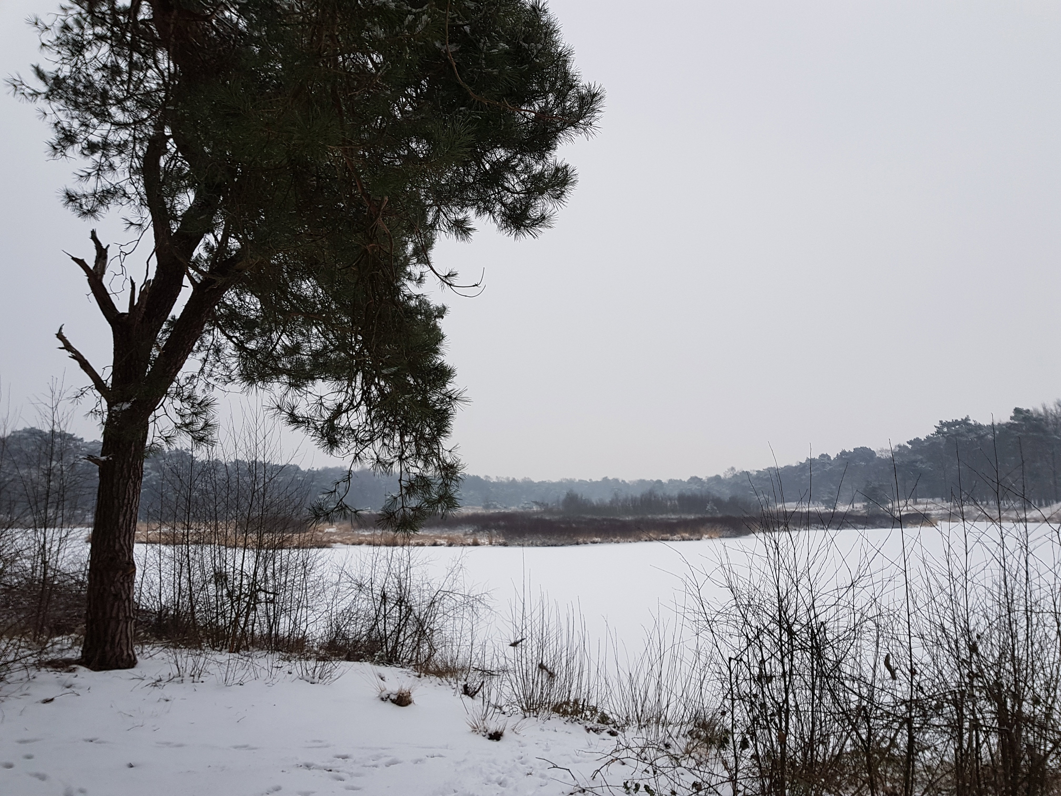 Natuurhuisje in Strijbeek