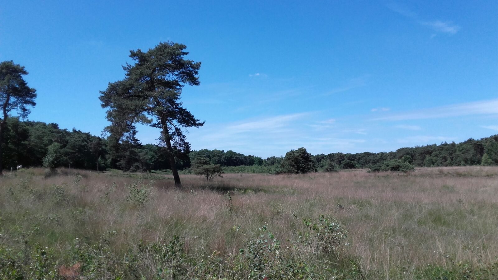 Natuurhuisje in Strijbeek