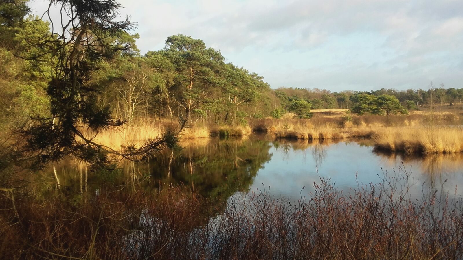 Natuurhuisje in Strijbeek