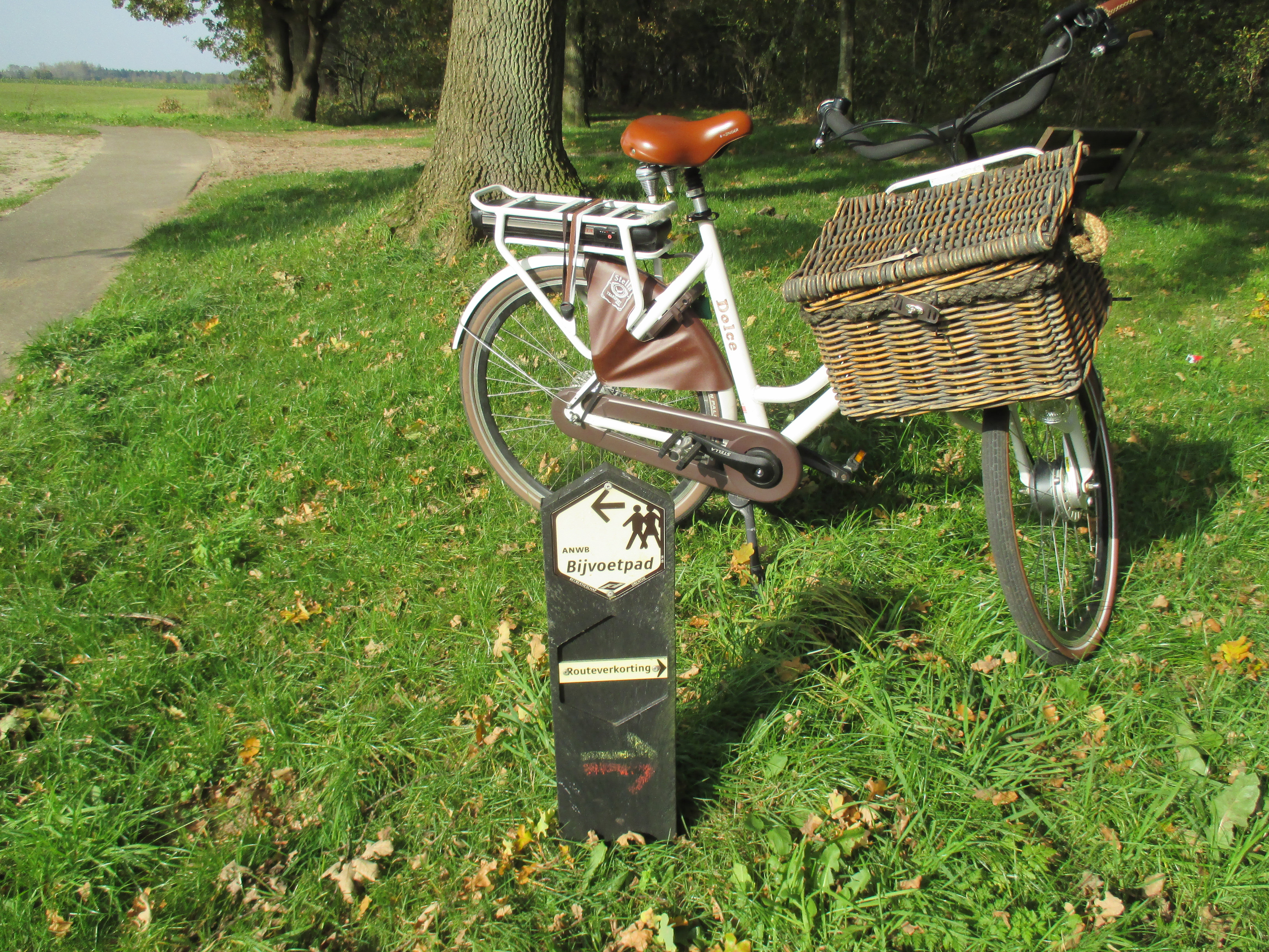 - image: 12
