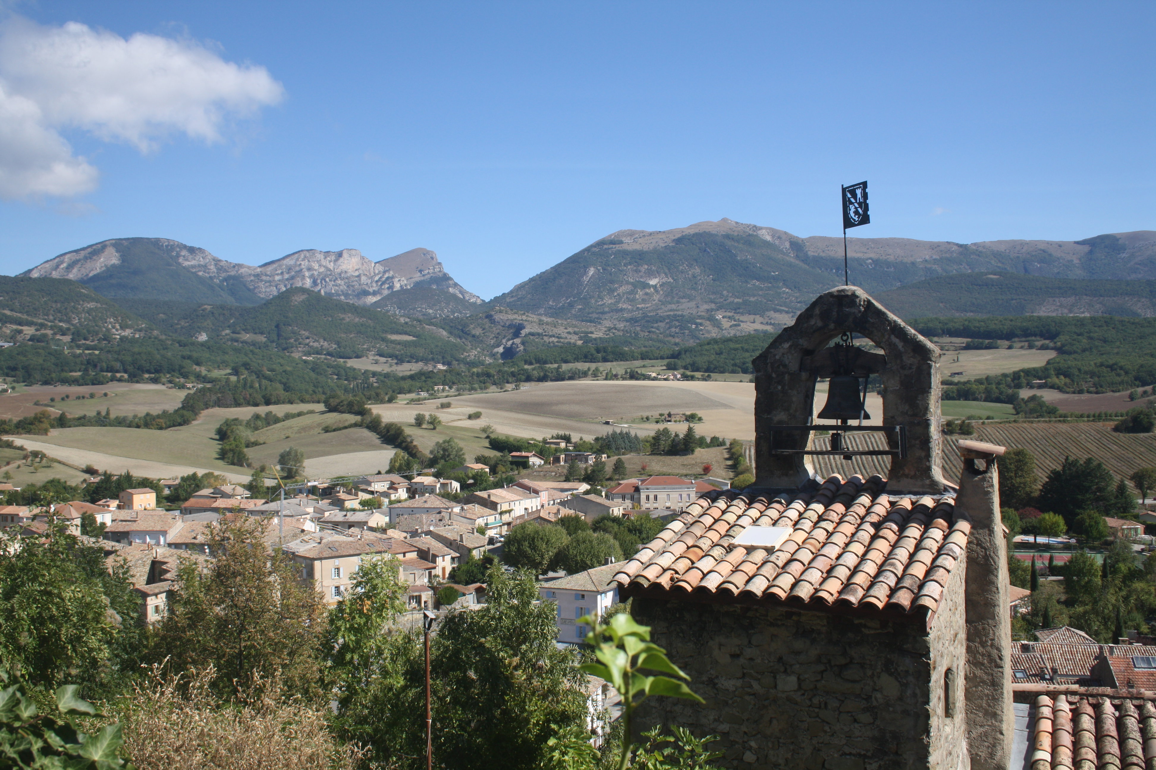 - image: 11