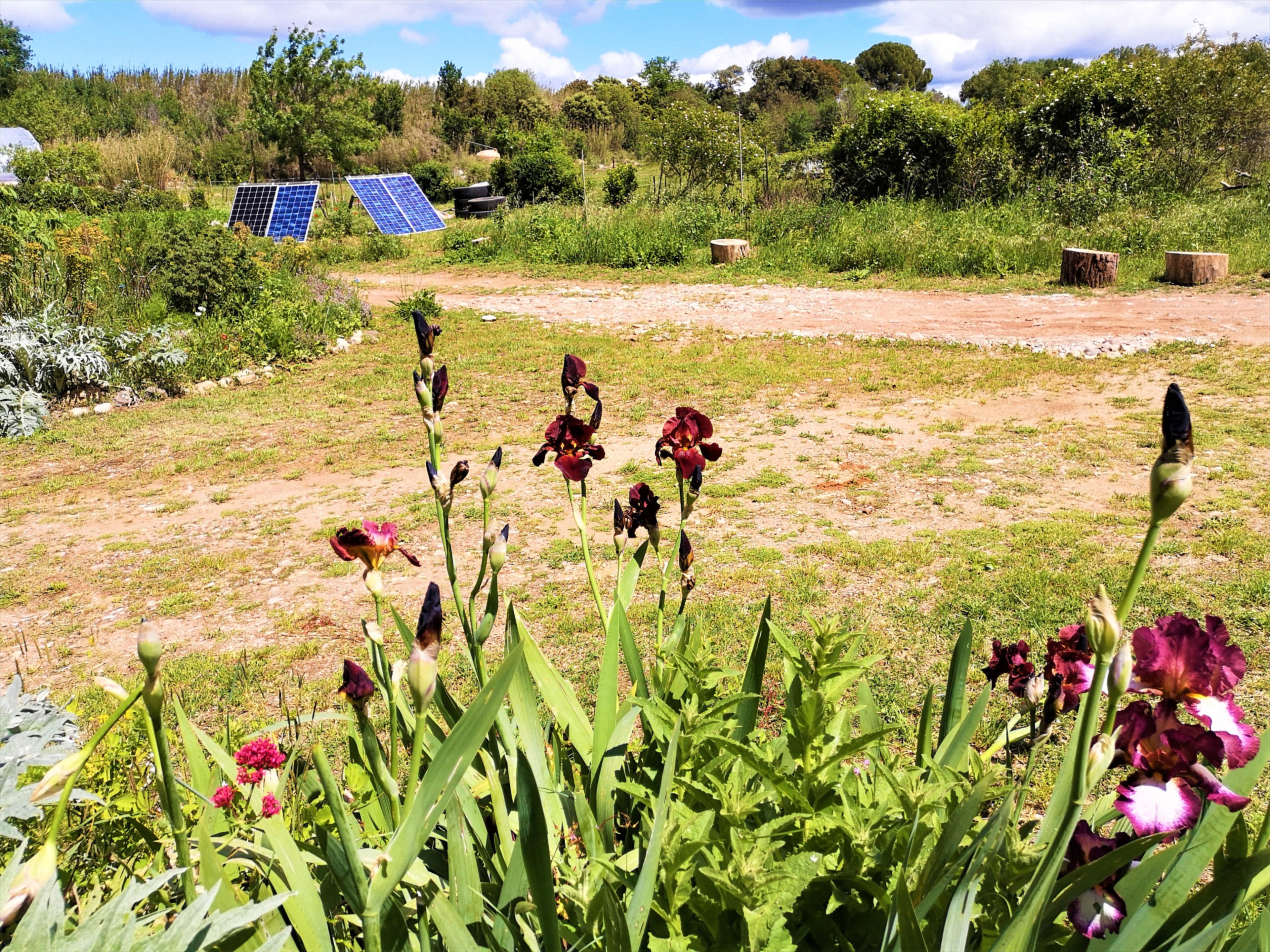 Natuurhuisje in Saint André de Sangonis