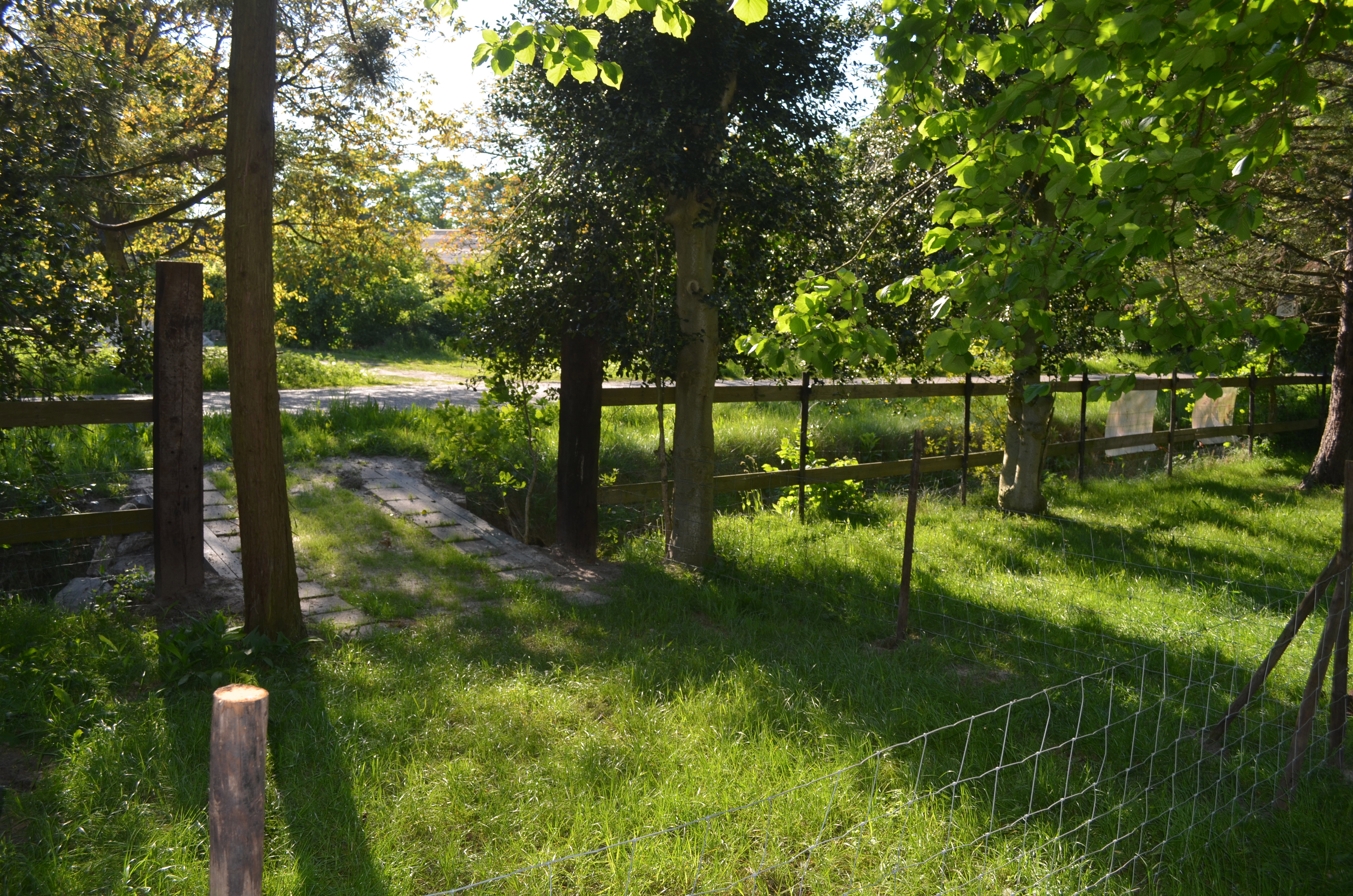 - image: 21