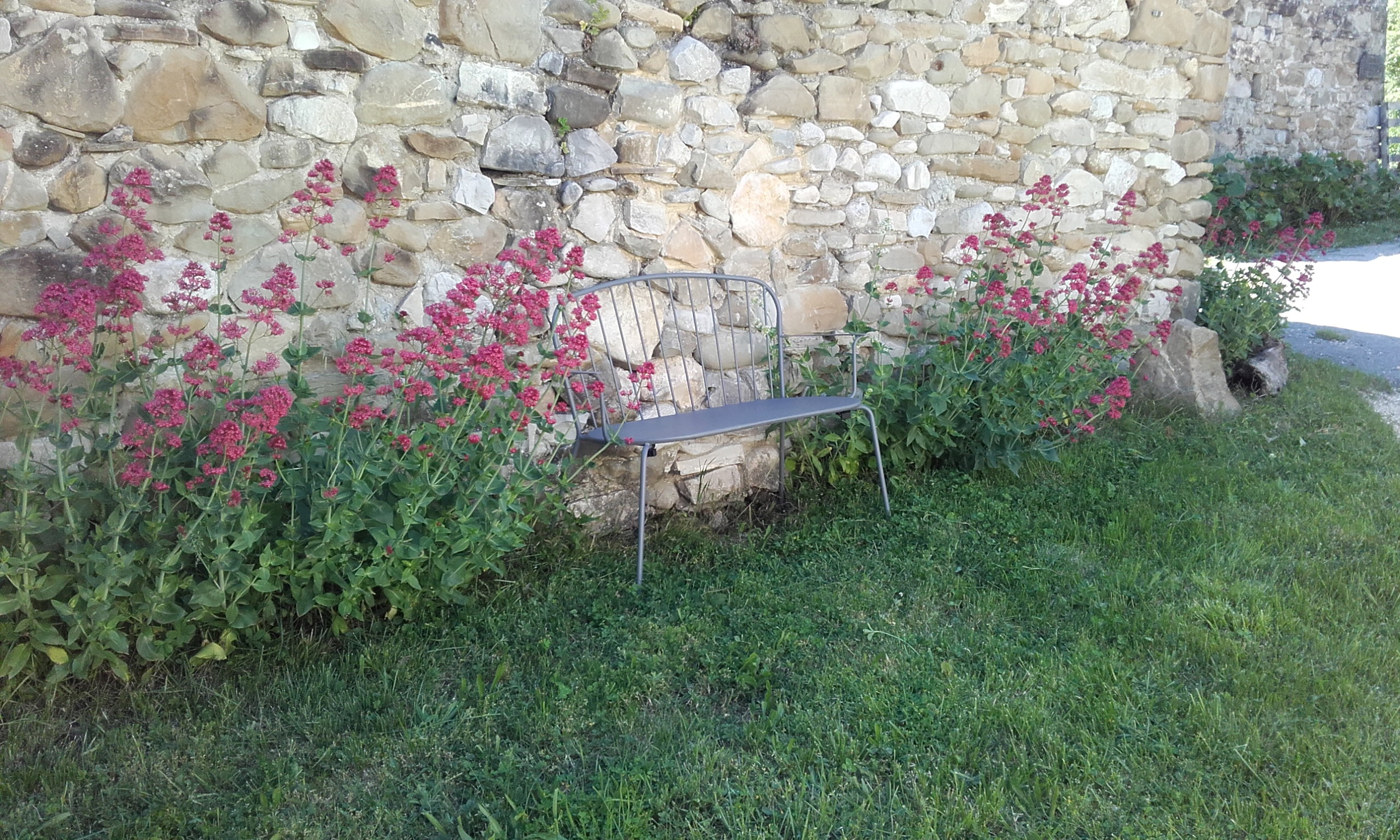 - image: 11