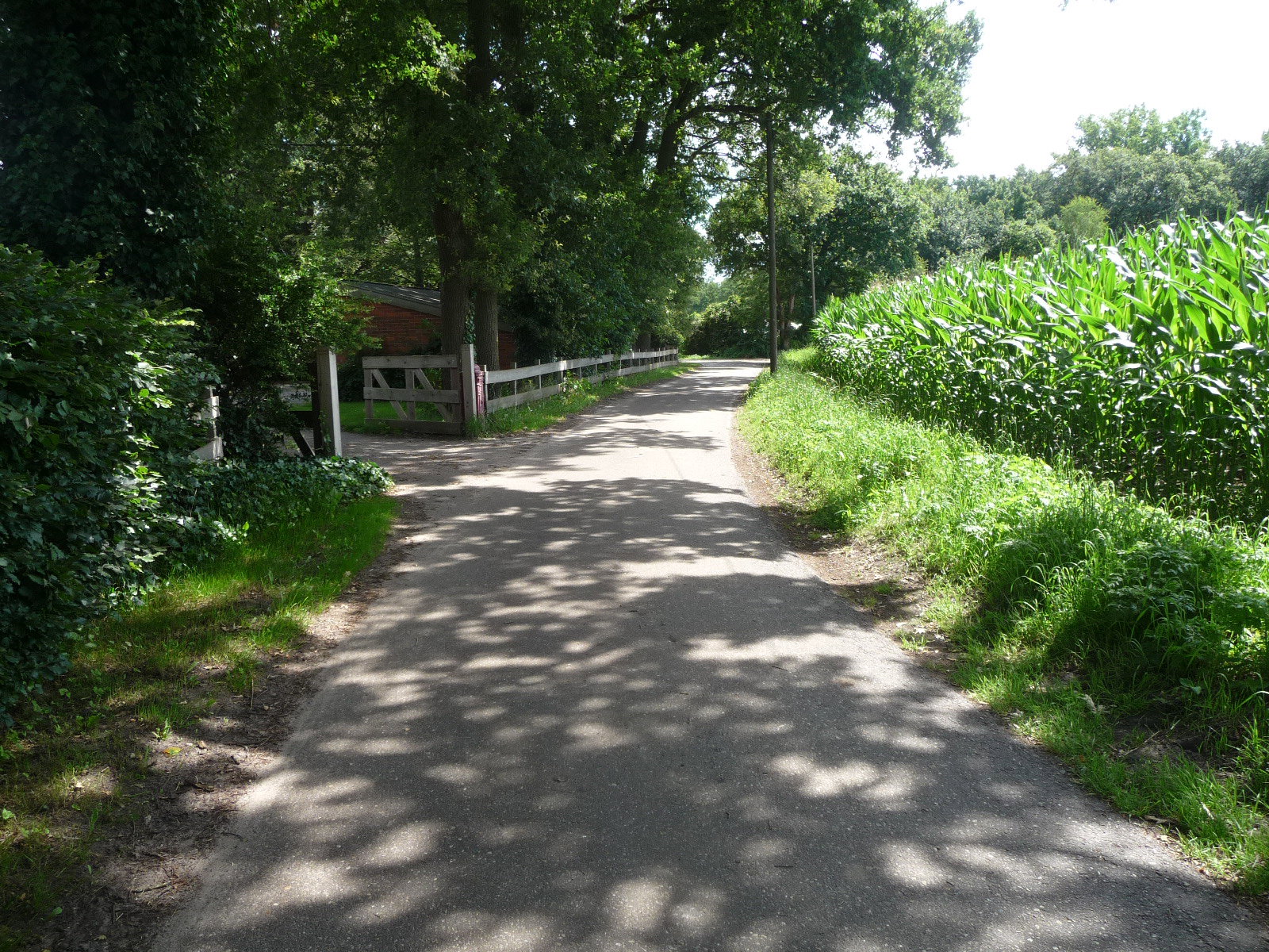- image: 29