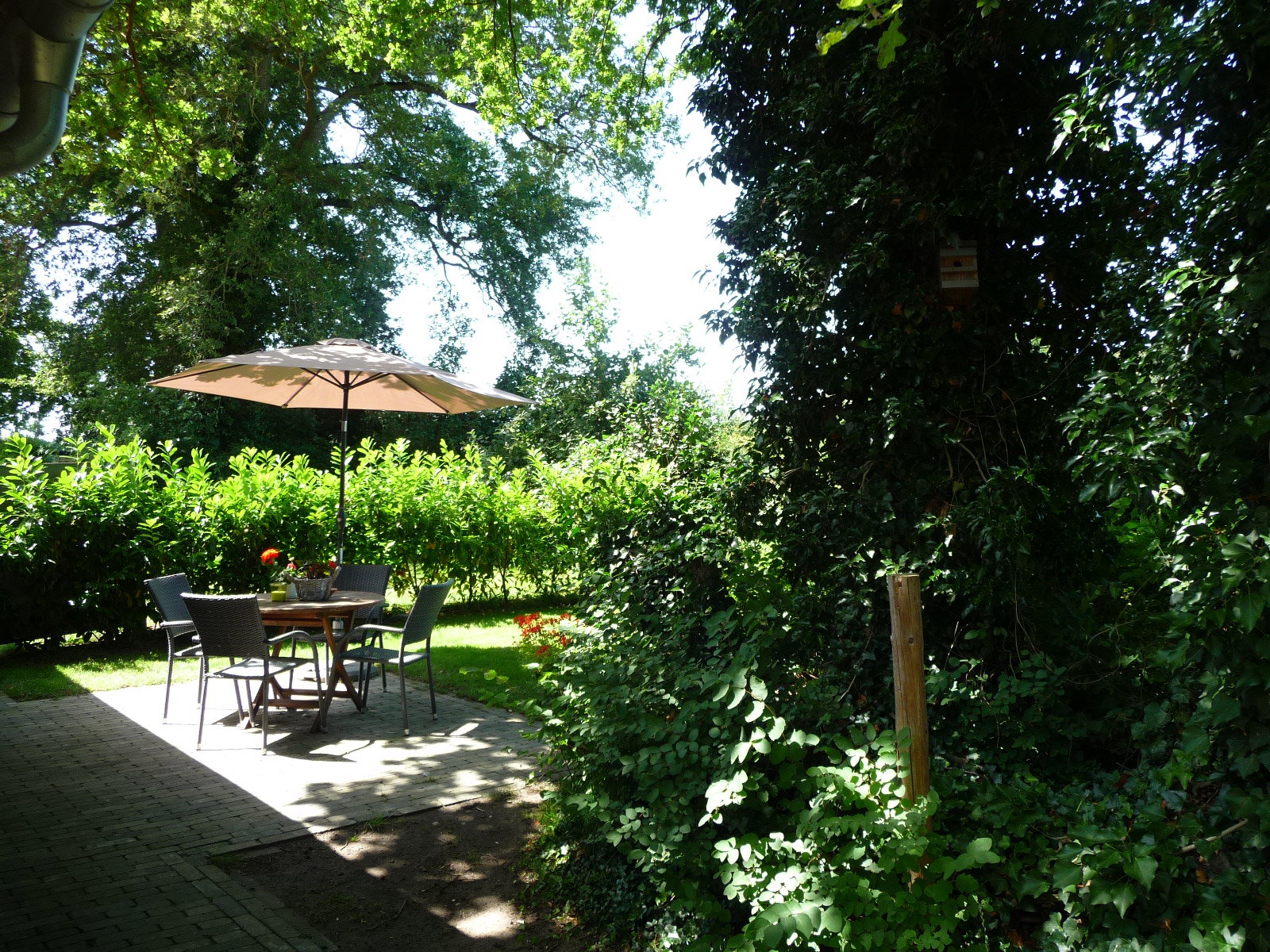 Naturhäuschen in Osterwald Neuenhaus (Grafschaft Bentheim)