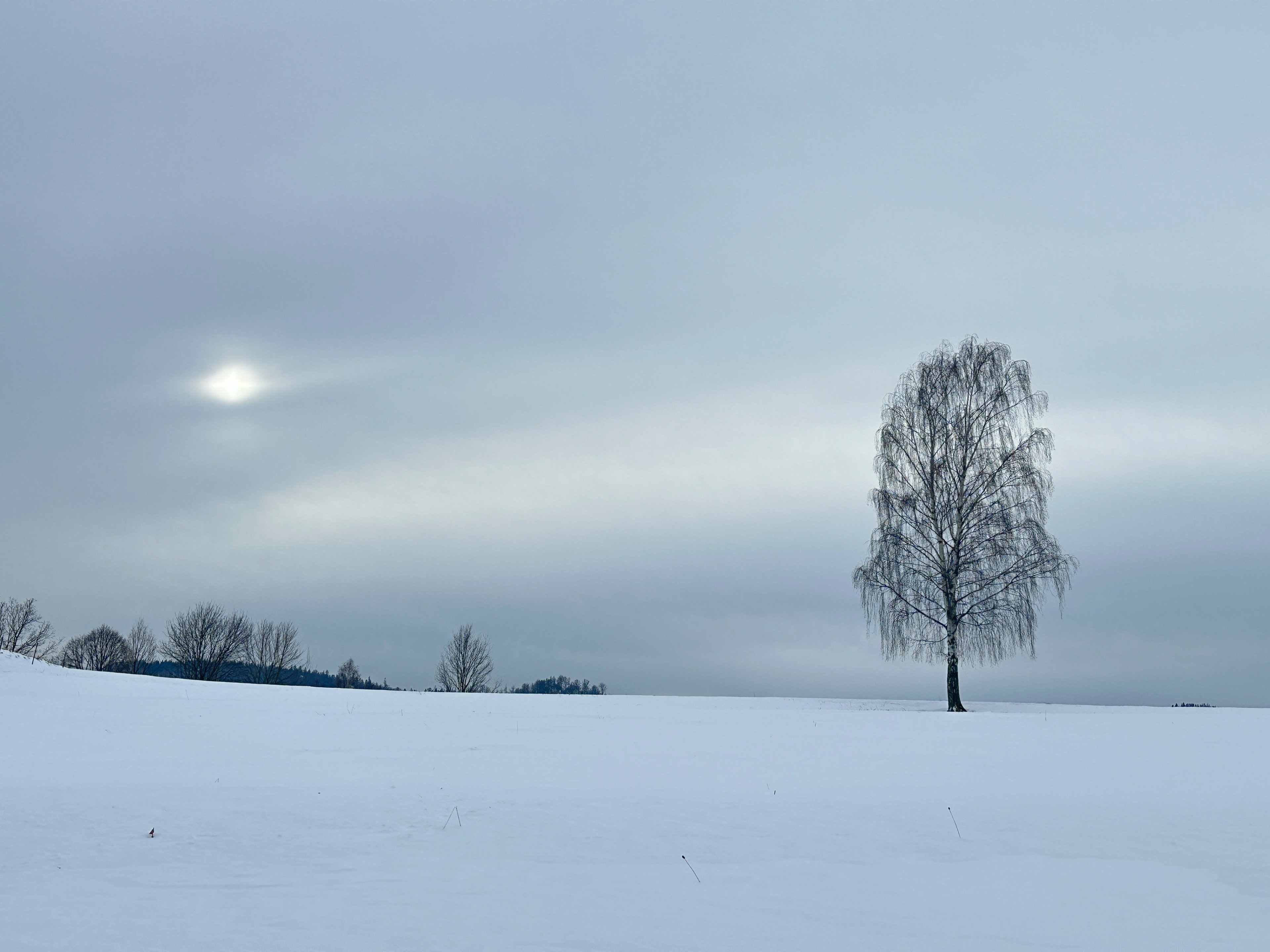 - image: 28