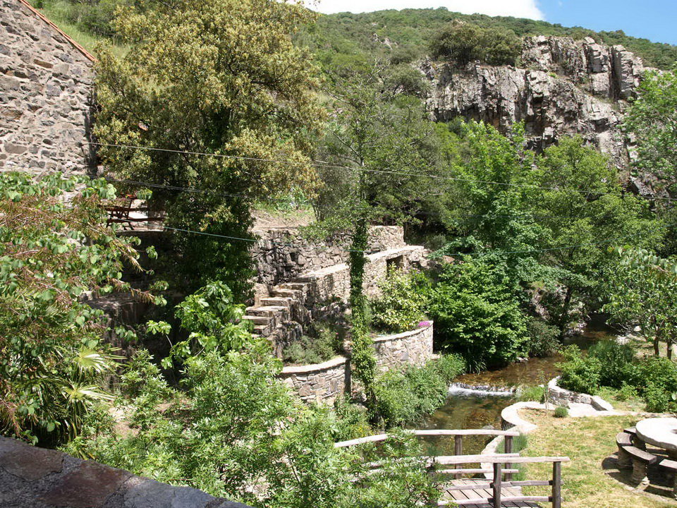 - image: 25