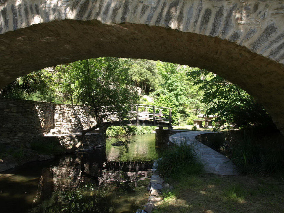 - image: 26