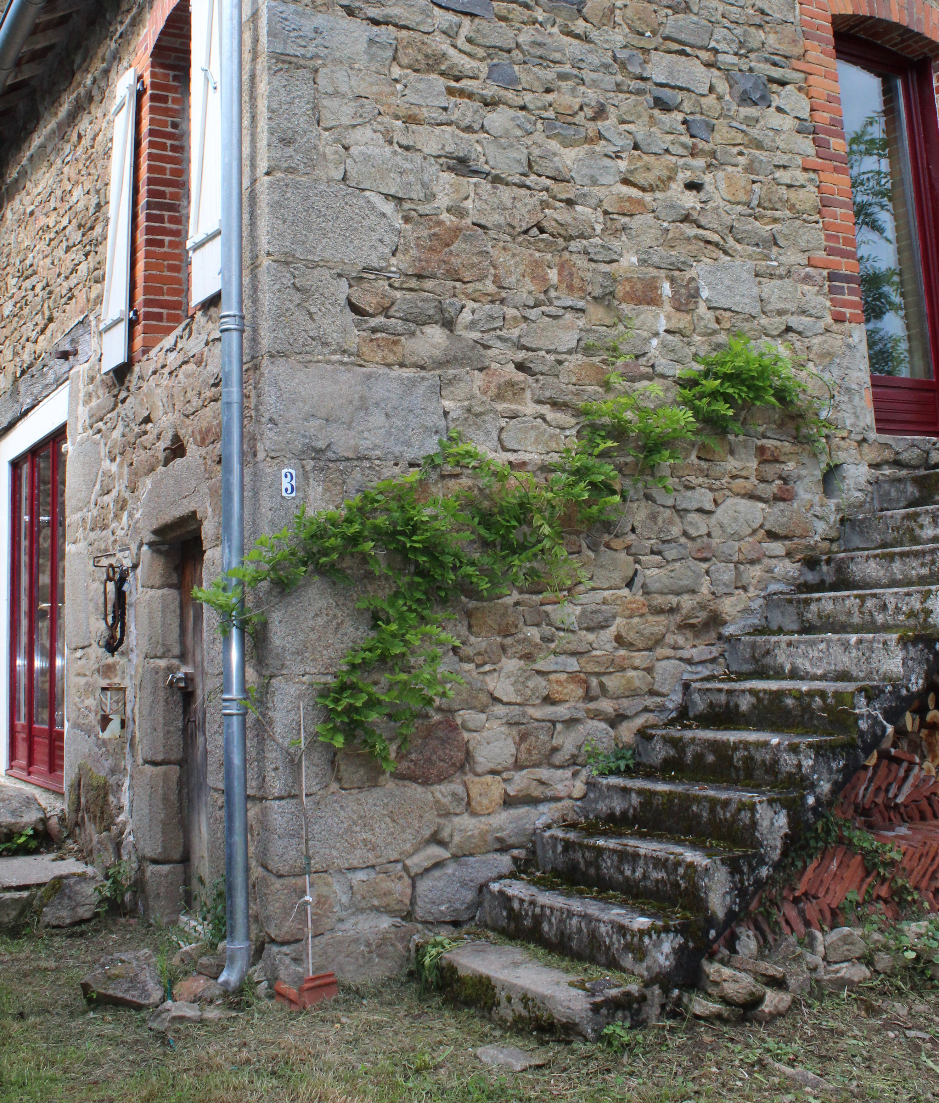 - image: 11