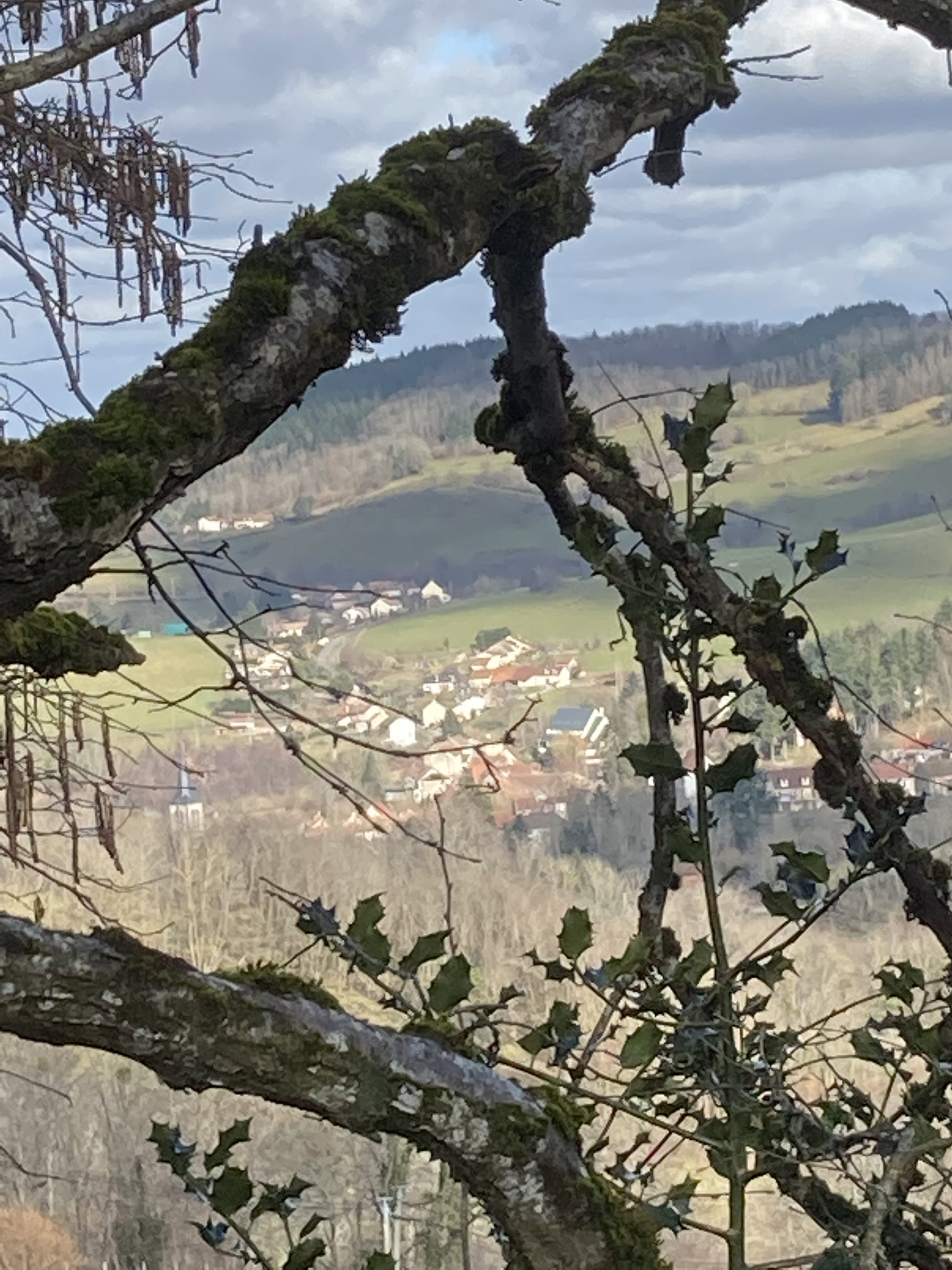 - image: 34