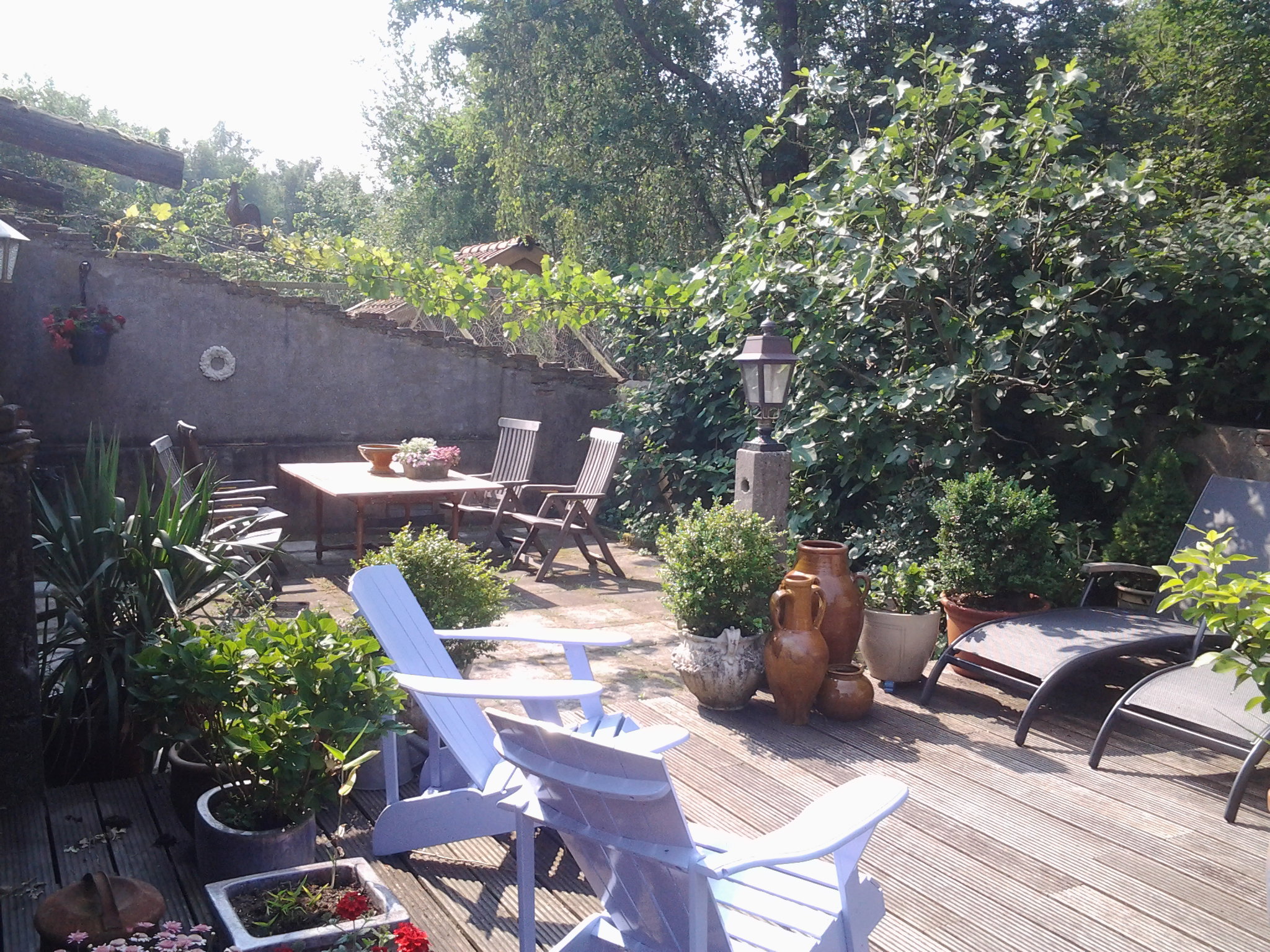 Maison nature à Eexterveen