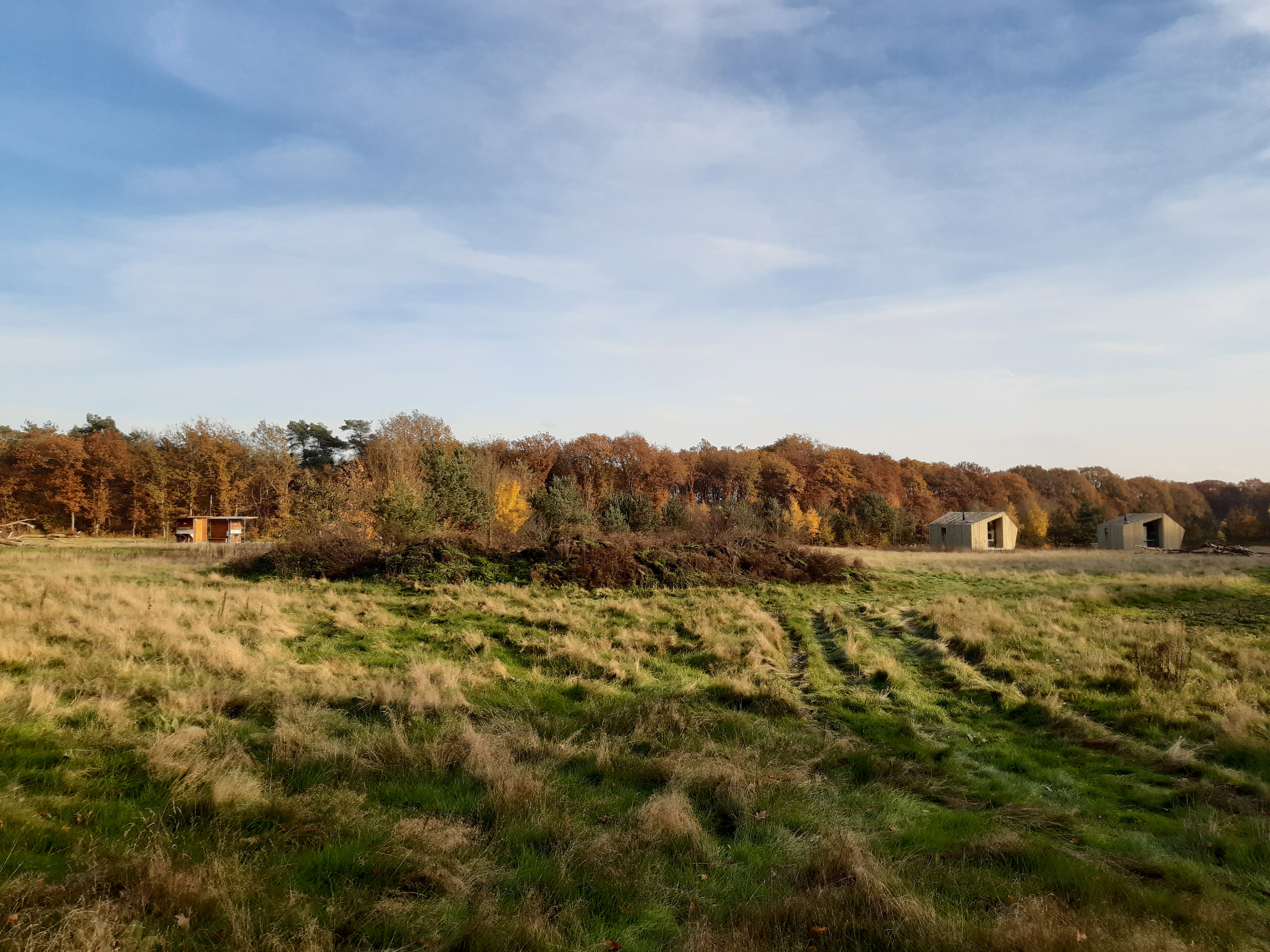 Natuurhuisje in Lemele
