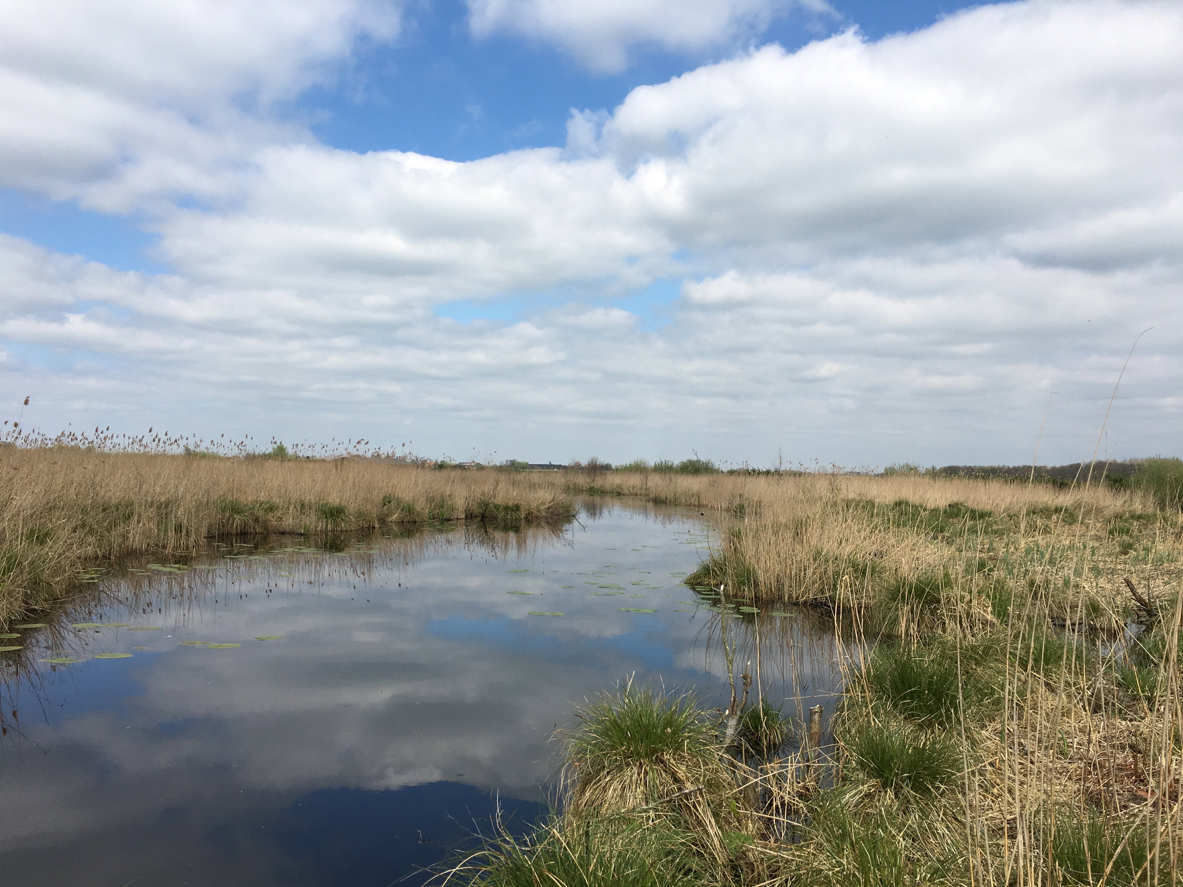 Naturhäuschen in Lexmond