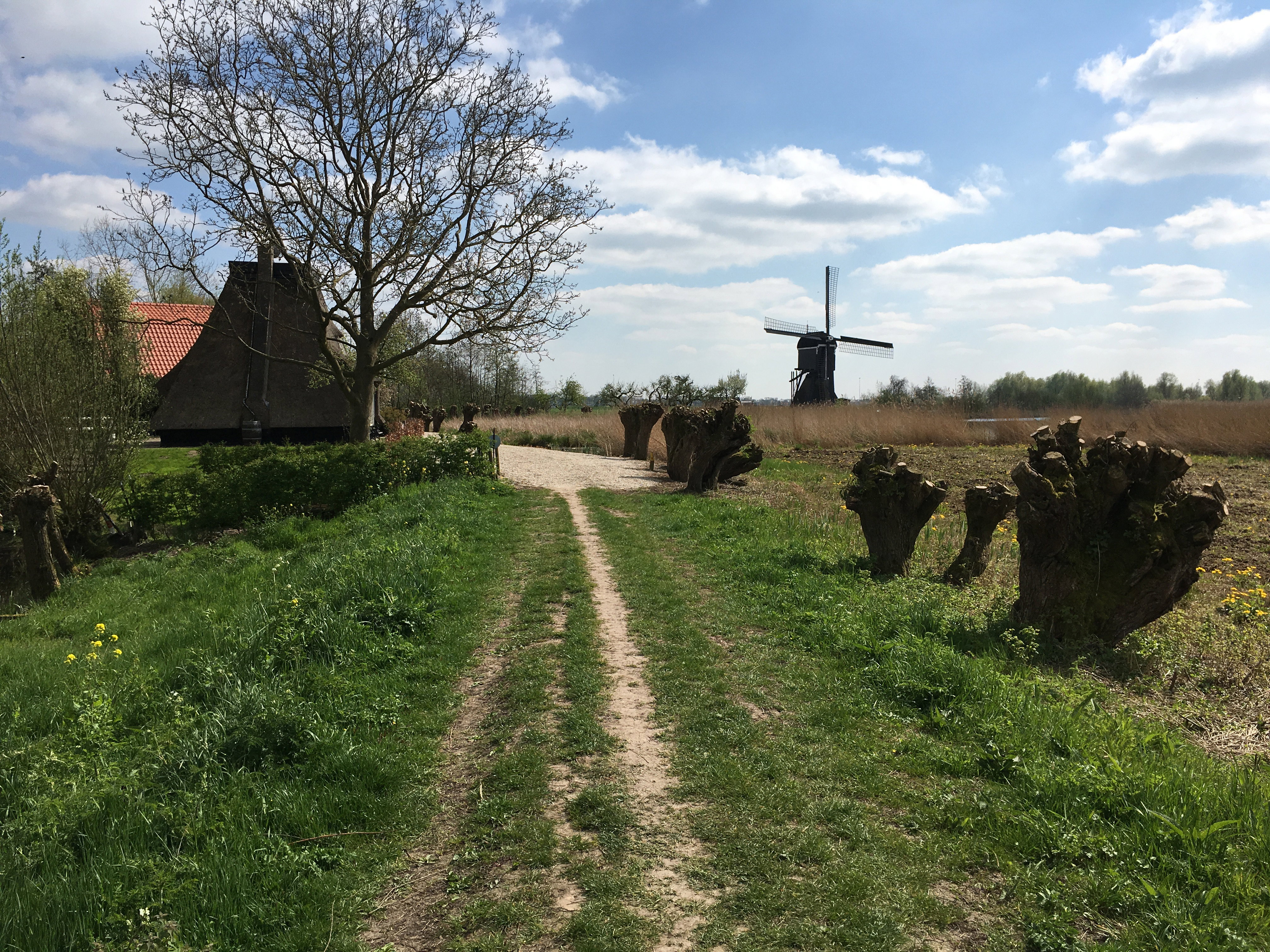 Naturhäuschen in Lexmond