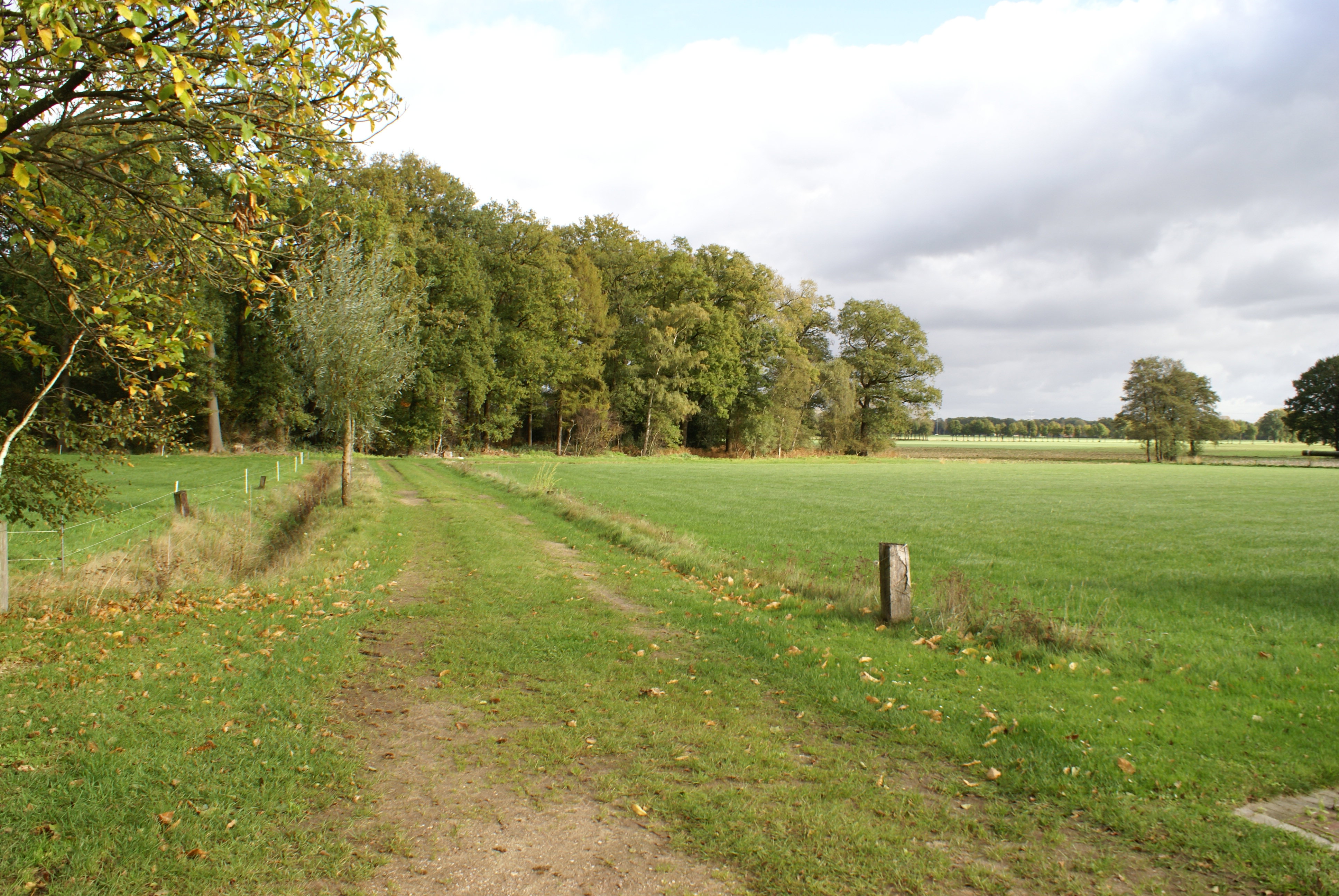 - image: 25