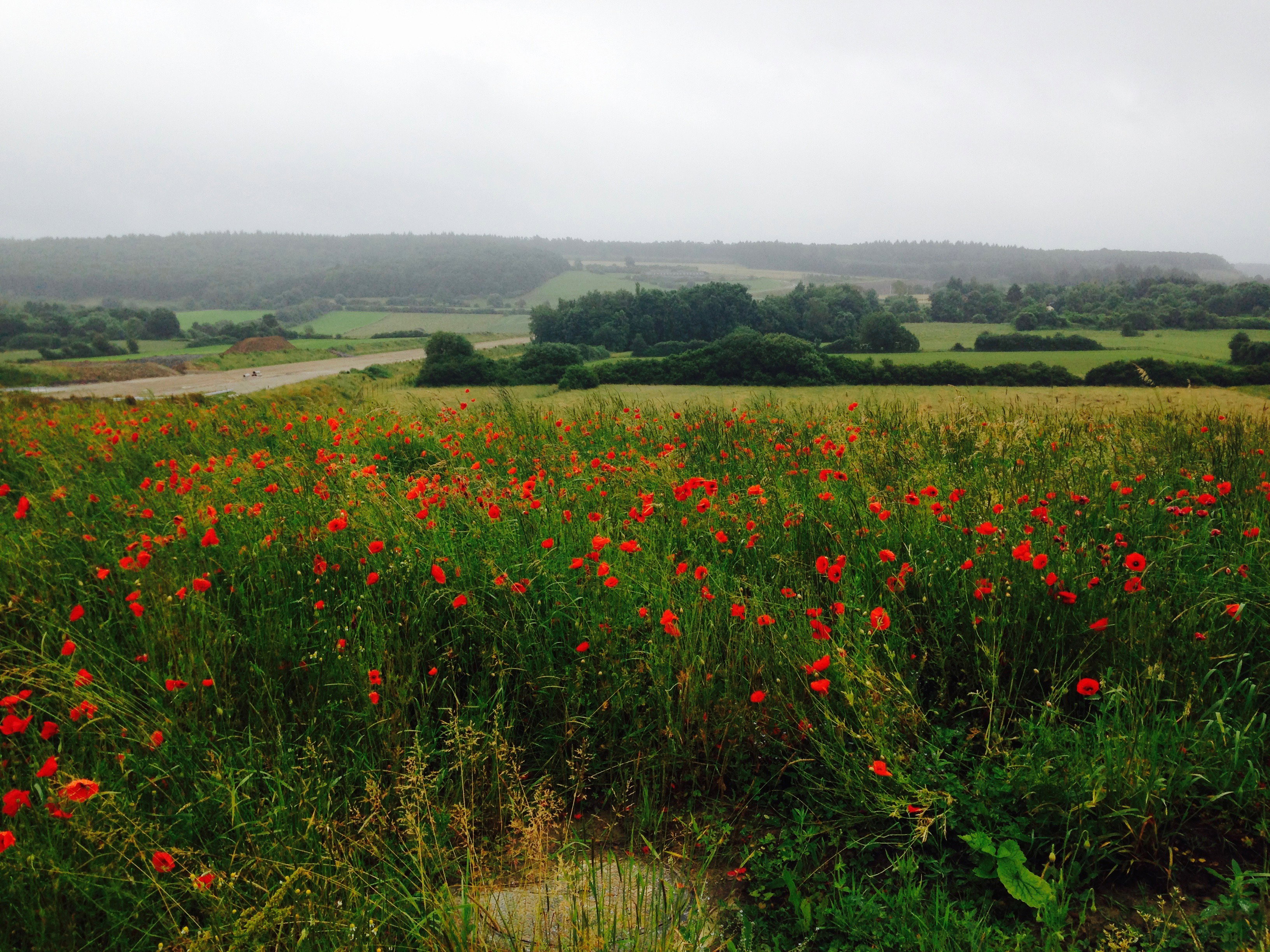 Natuurhuisje in Oignies-en-Thiérache