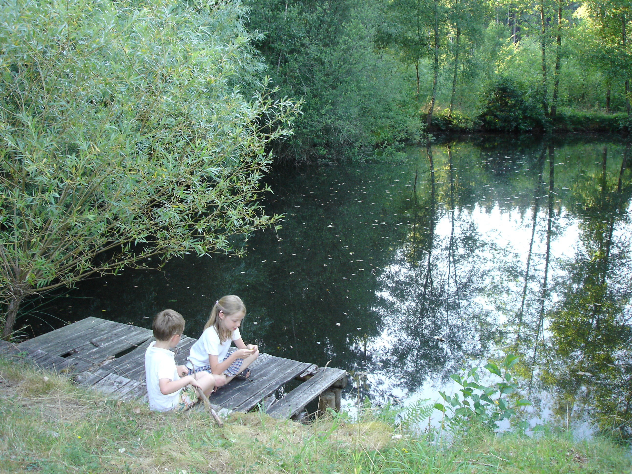 - image: 15